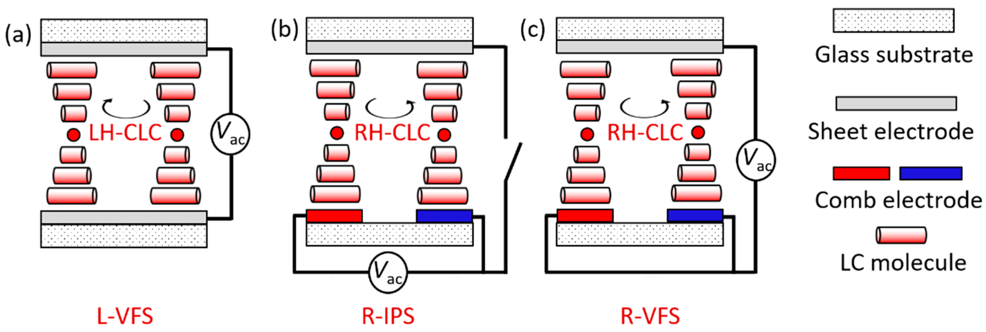 Molecules 29 02607 g002