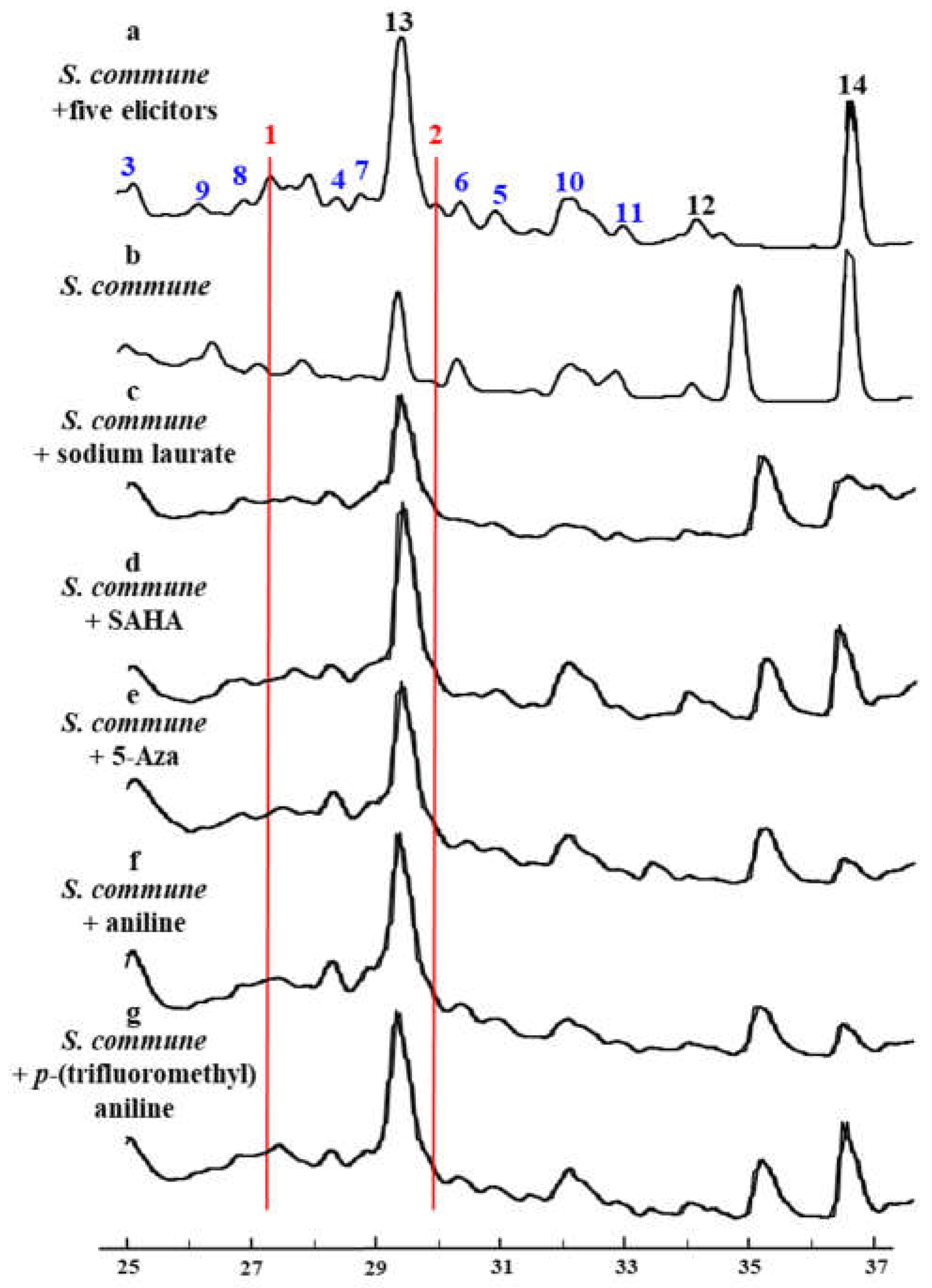 Molecules 29 02608 g002
