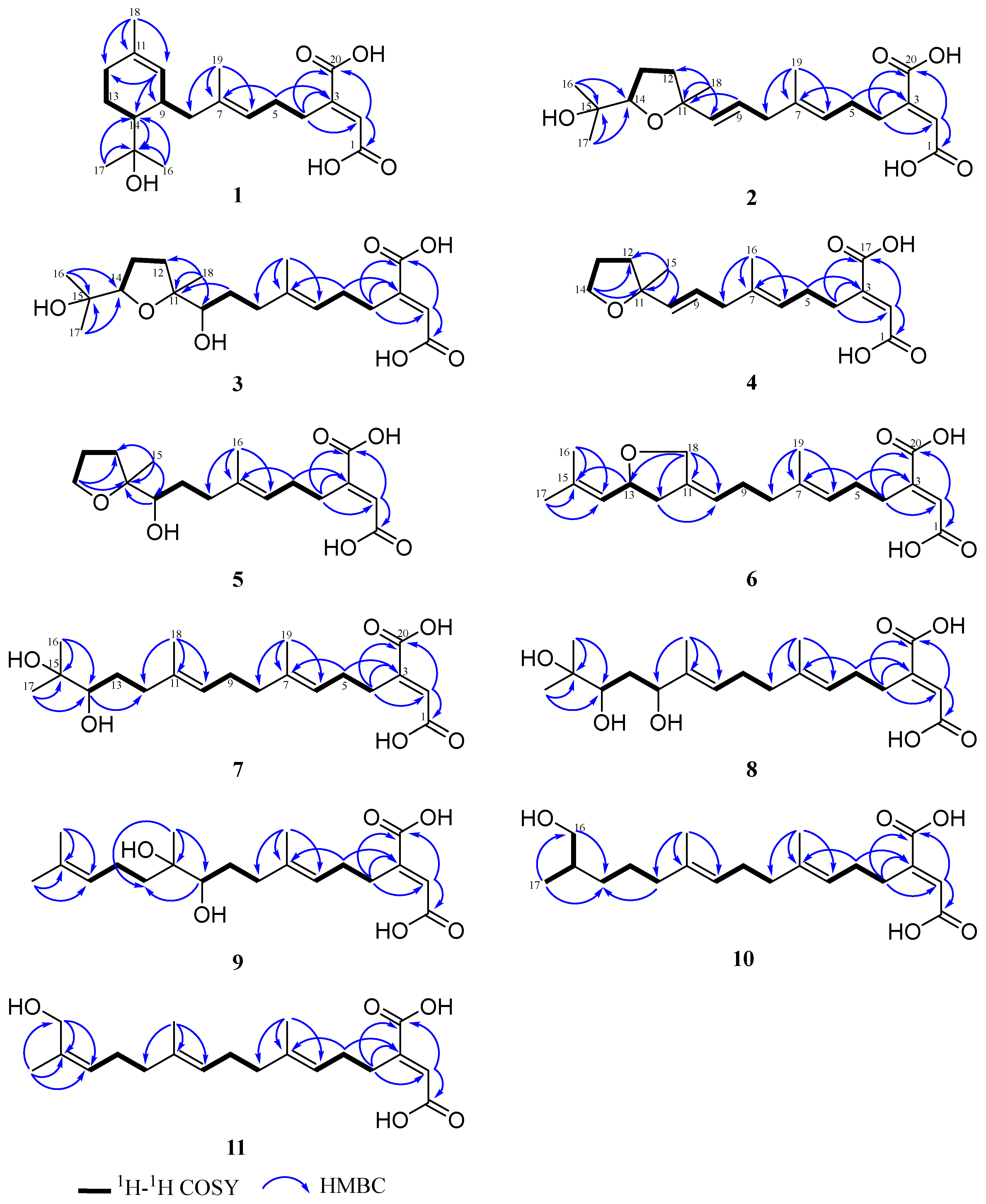 Molecules 29 02608 g003