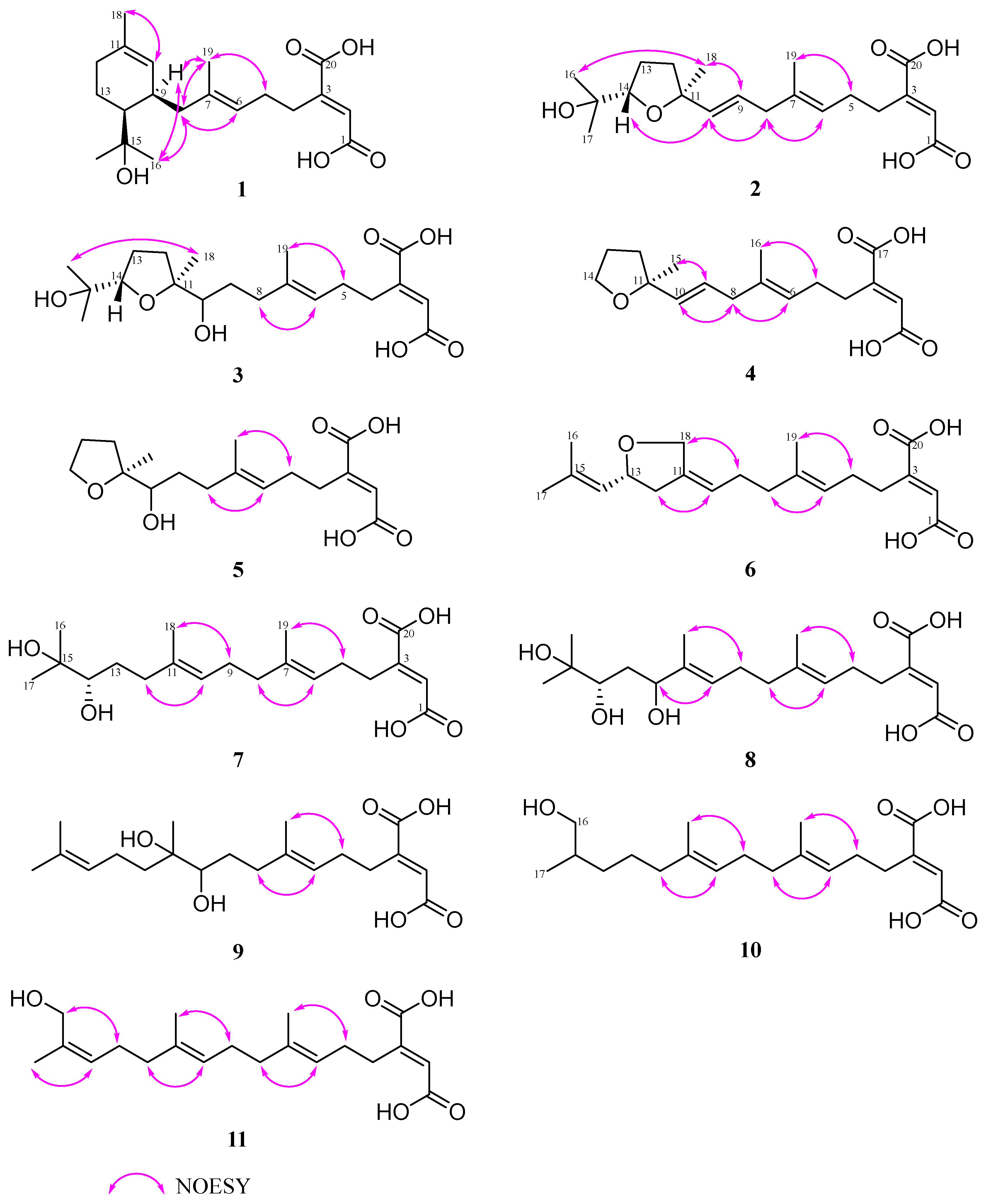 Molecules 29 02608 g004