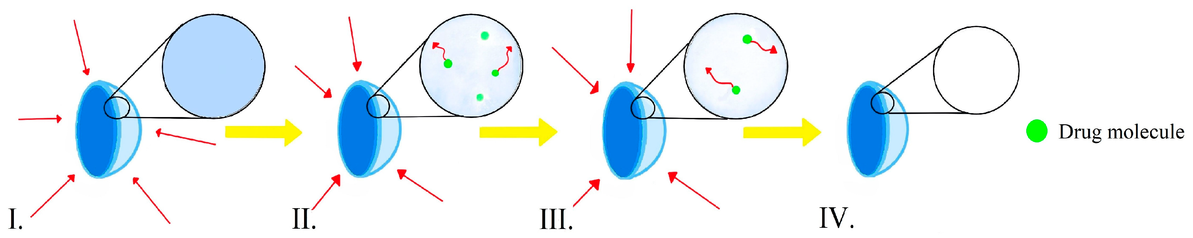 Molecules 29 02609 g004