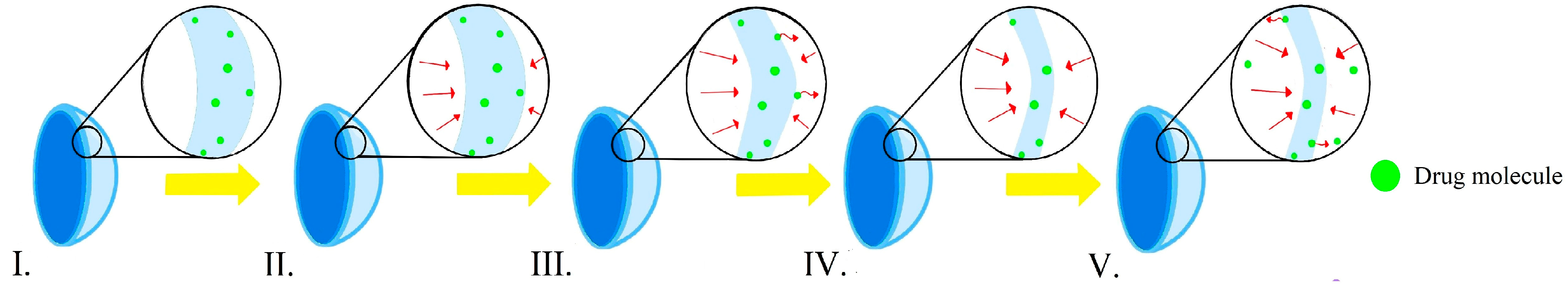 Molecules 29 02609 g005