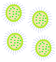 Molecules 29 02609 i015