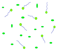 Molecules 29 02609 i016