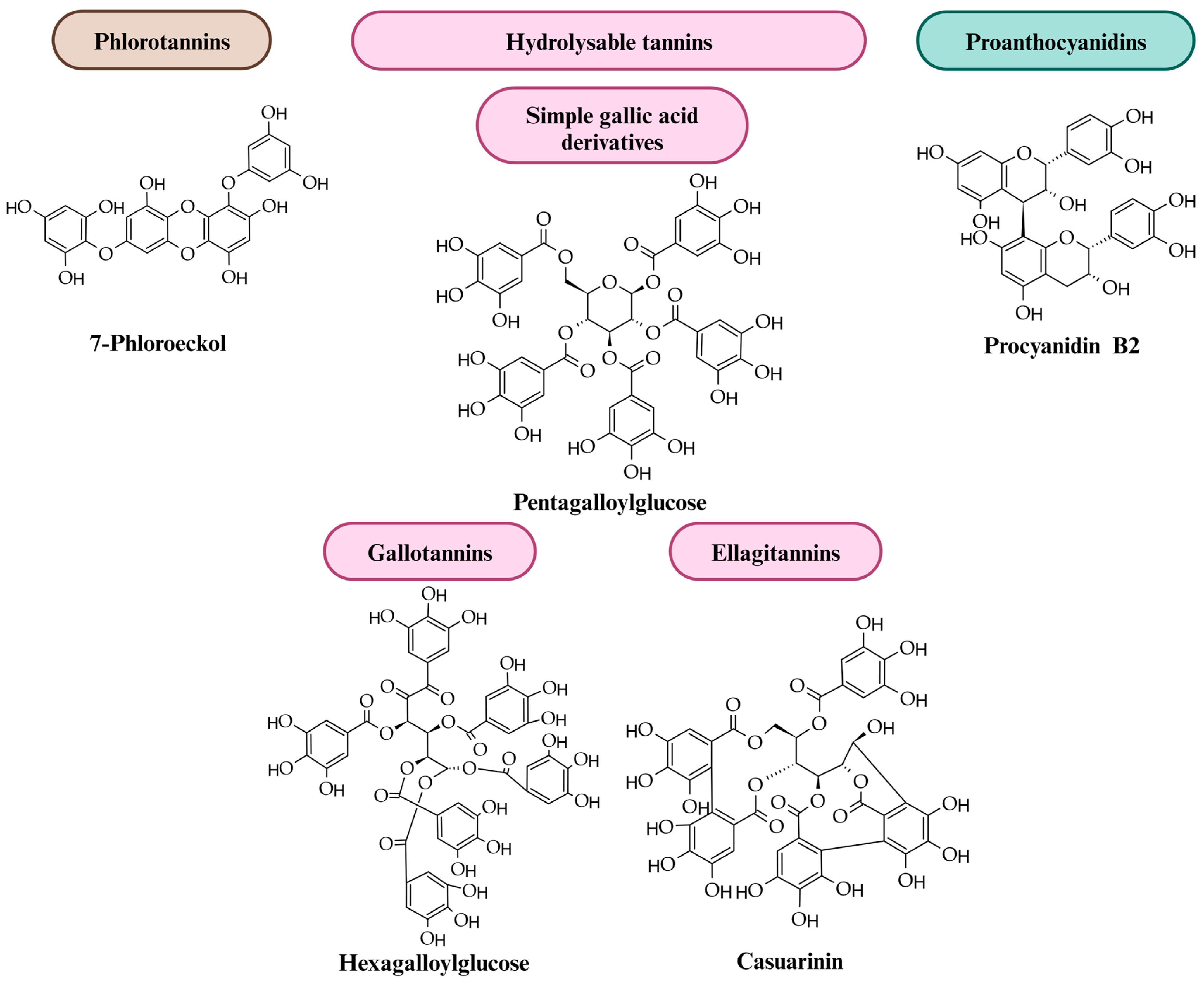 Molecules 29 02615 g001