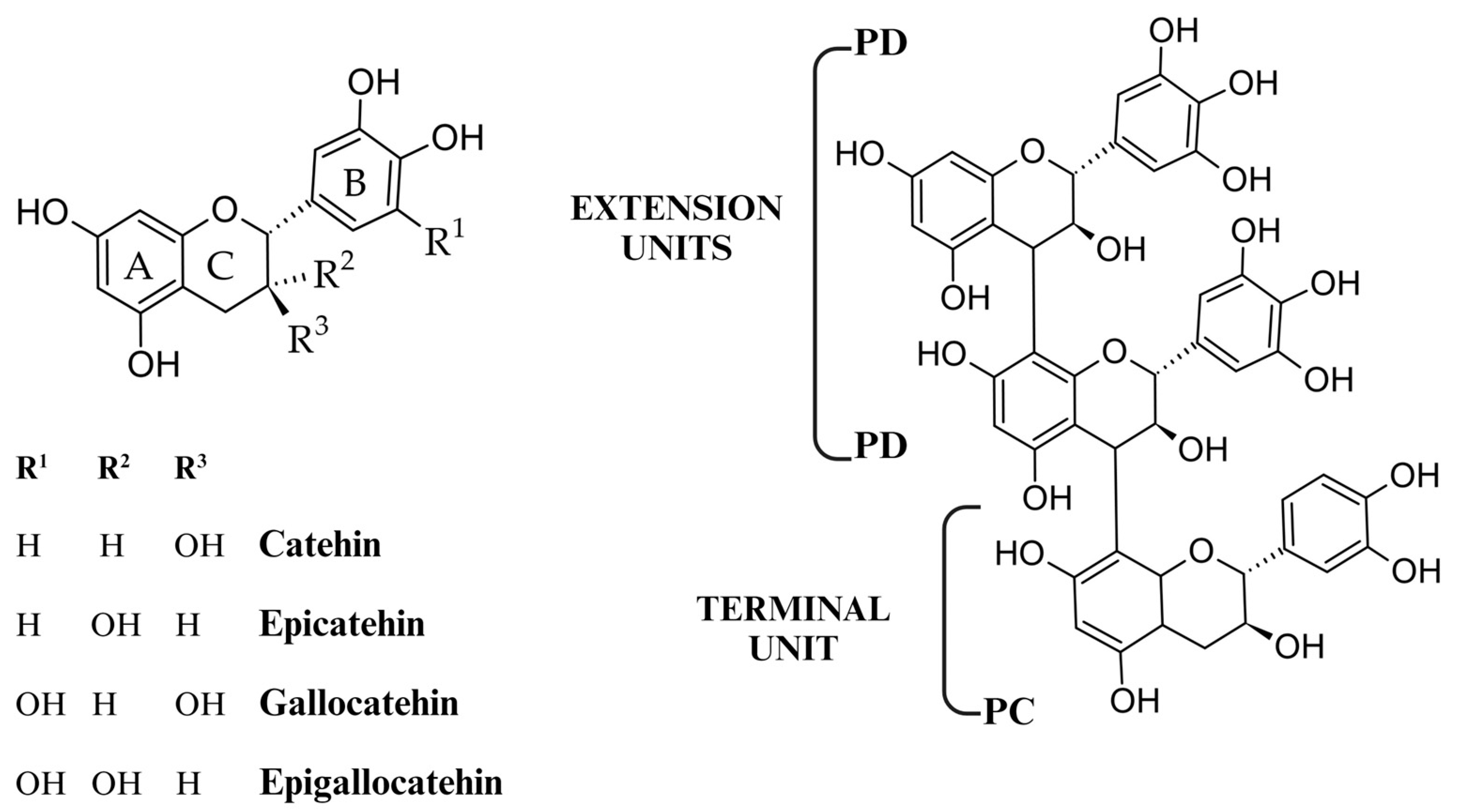 Molecules 29 02615 g002