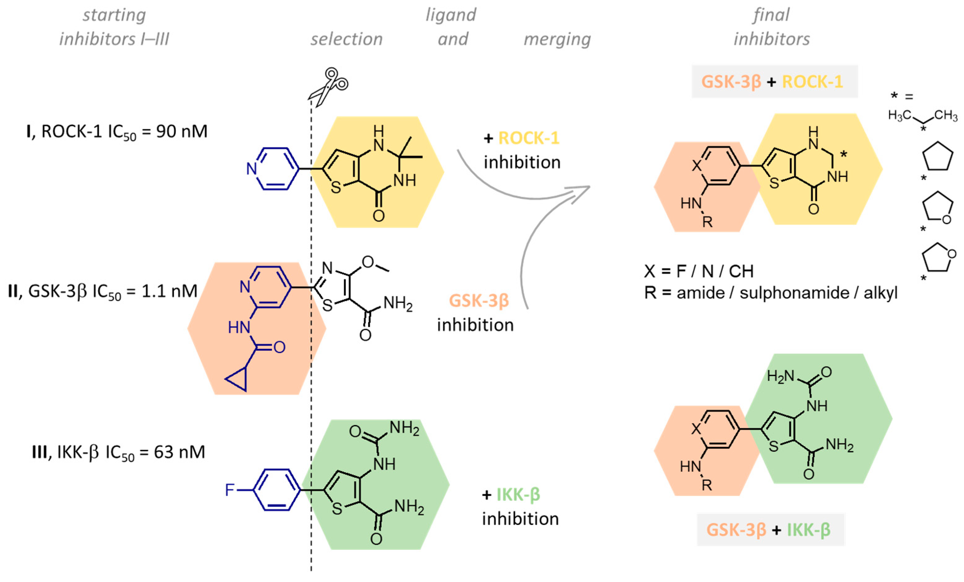 Molecules 29 02616 g001