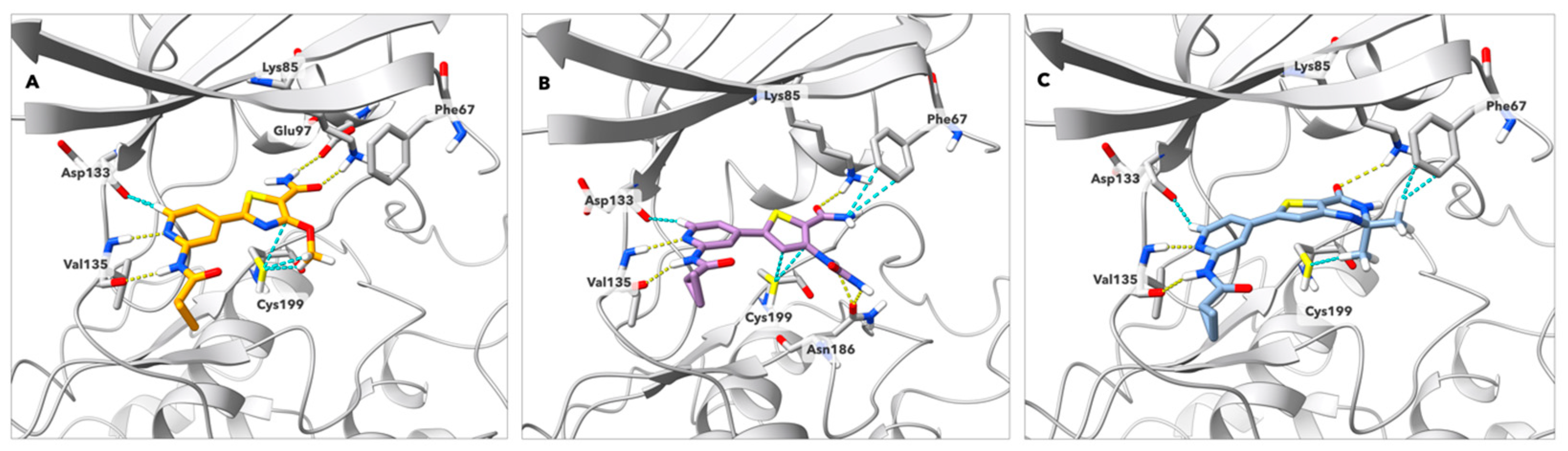 Molecules 29 02616 g002