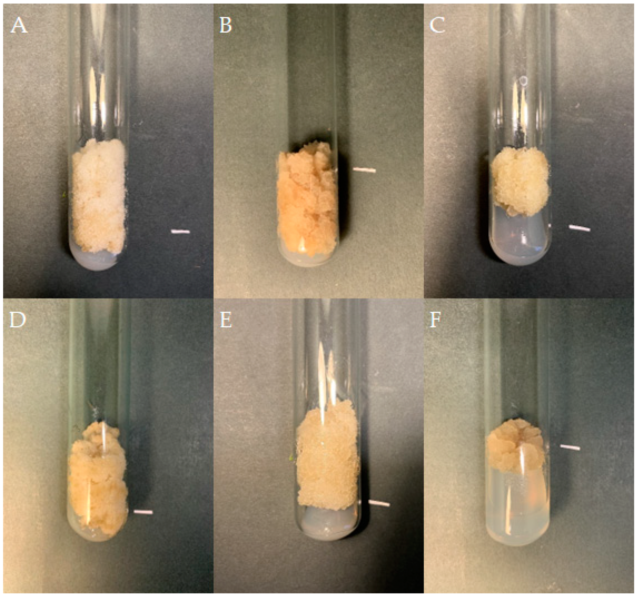 Molecules 29 02626 g005