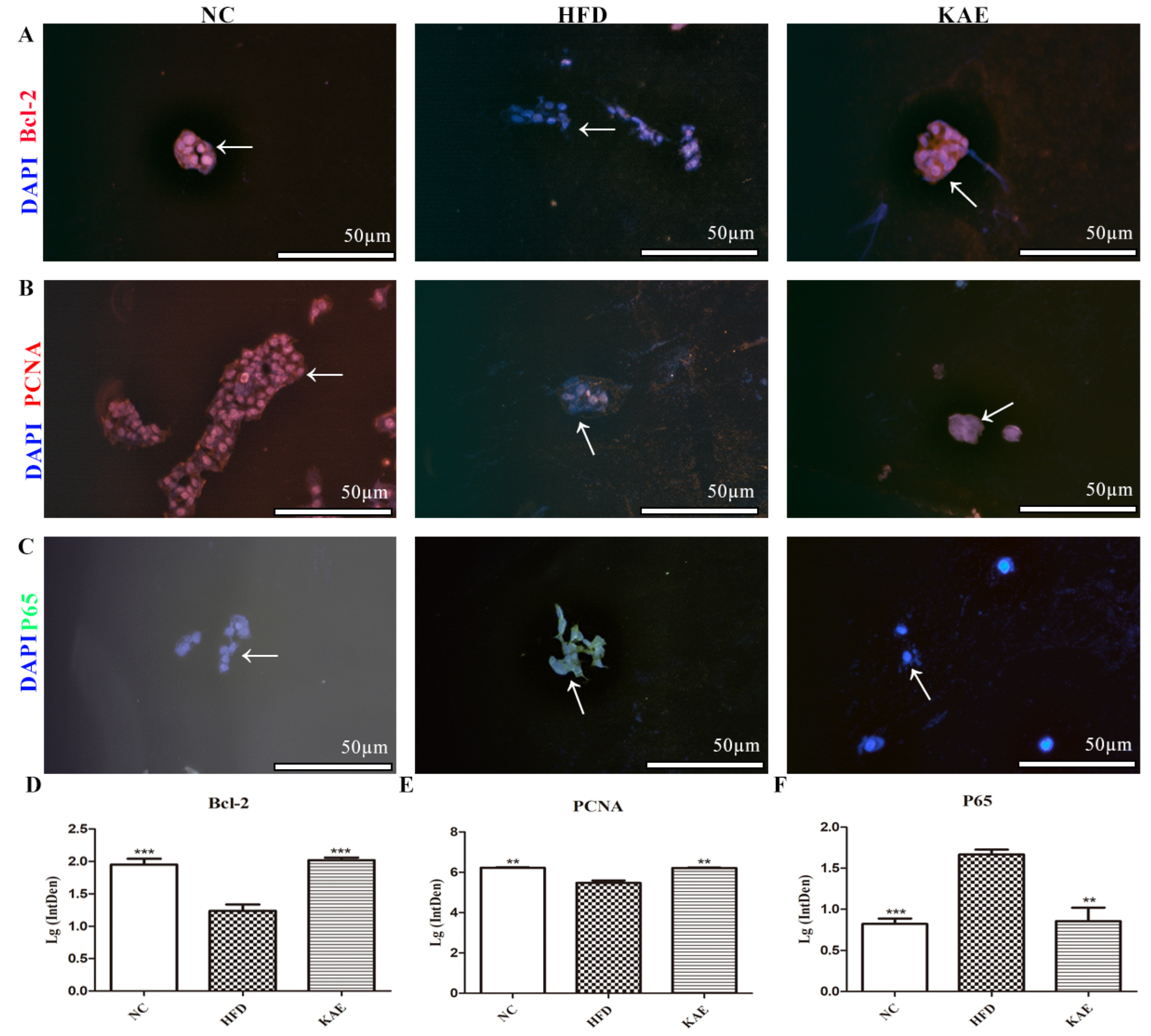 Molecules 29 02630 g002
