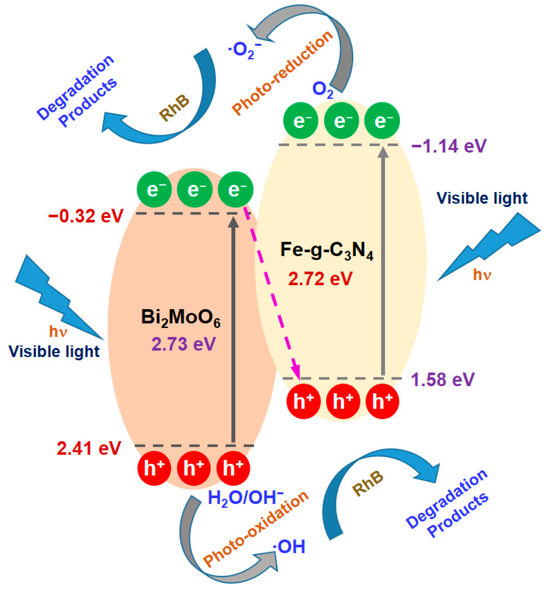 Molecules 29 02631 g007