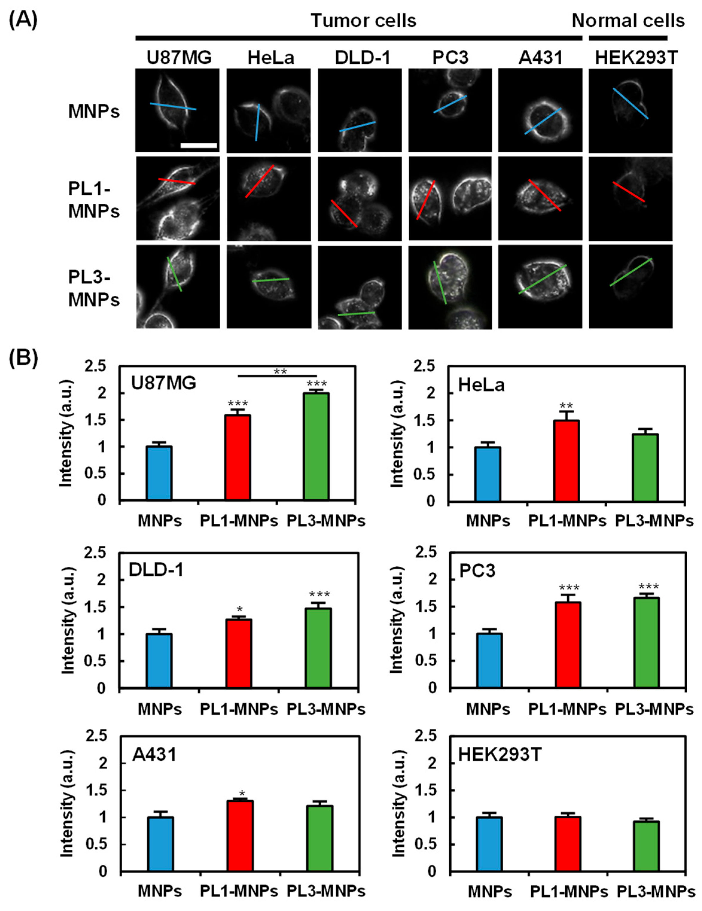 Molecules 29 02632 g003