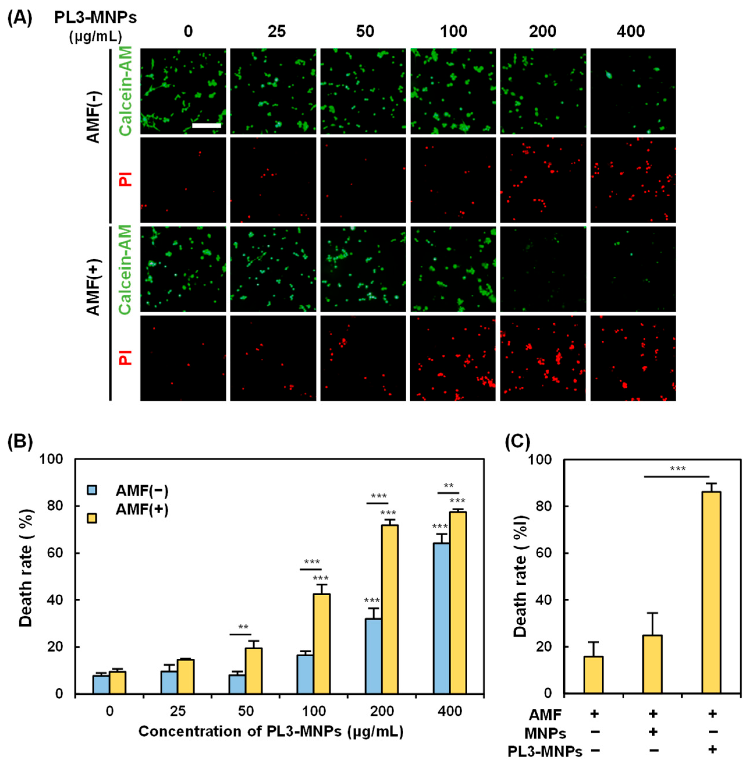 Molecules 29 02632 g005