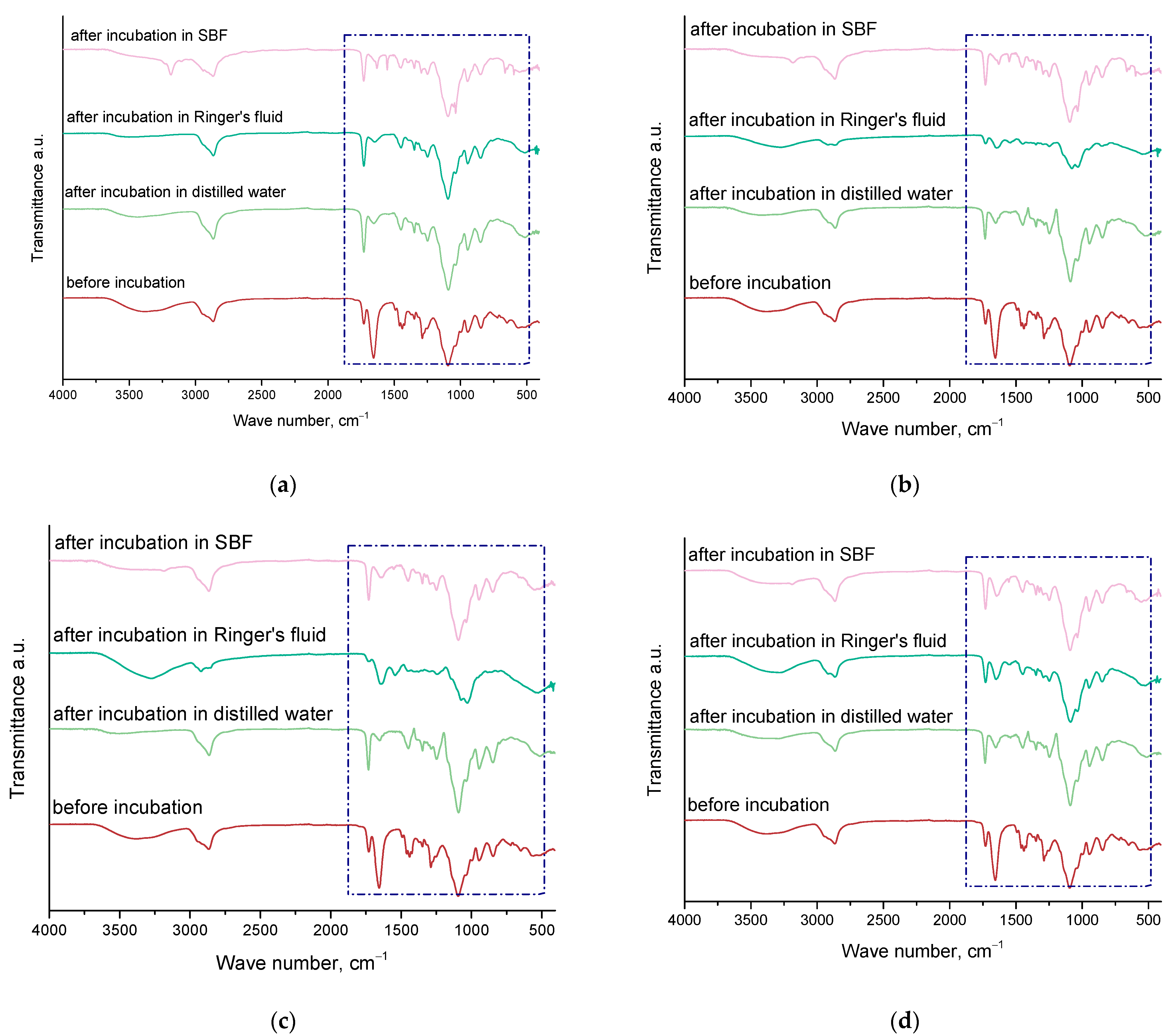 Molecules 29 02633 g004