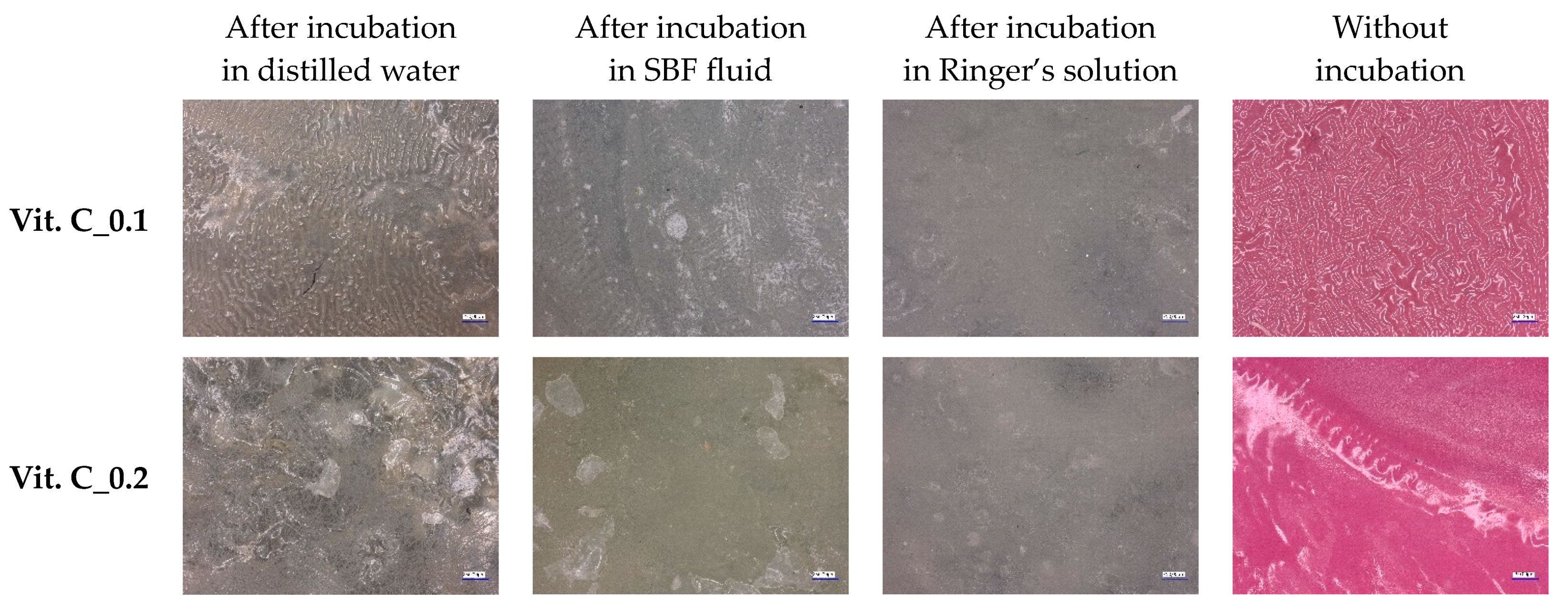 Molecules 29 02633 g005a