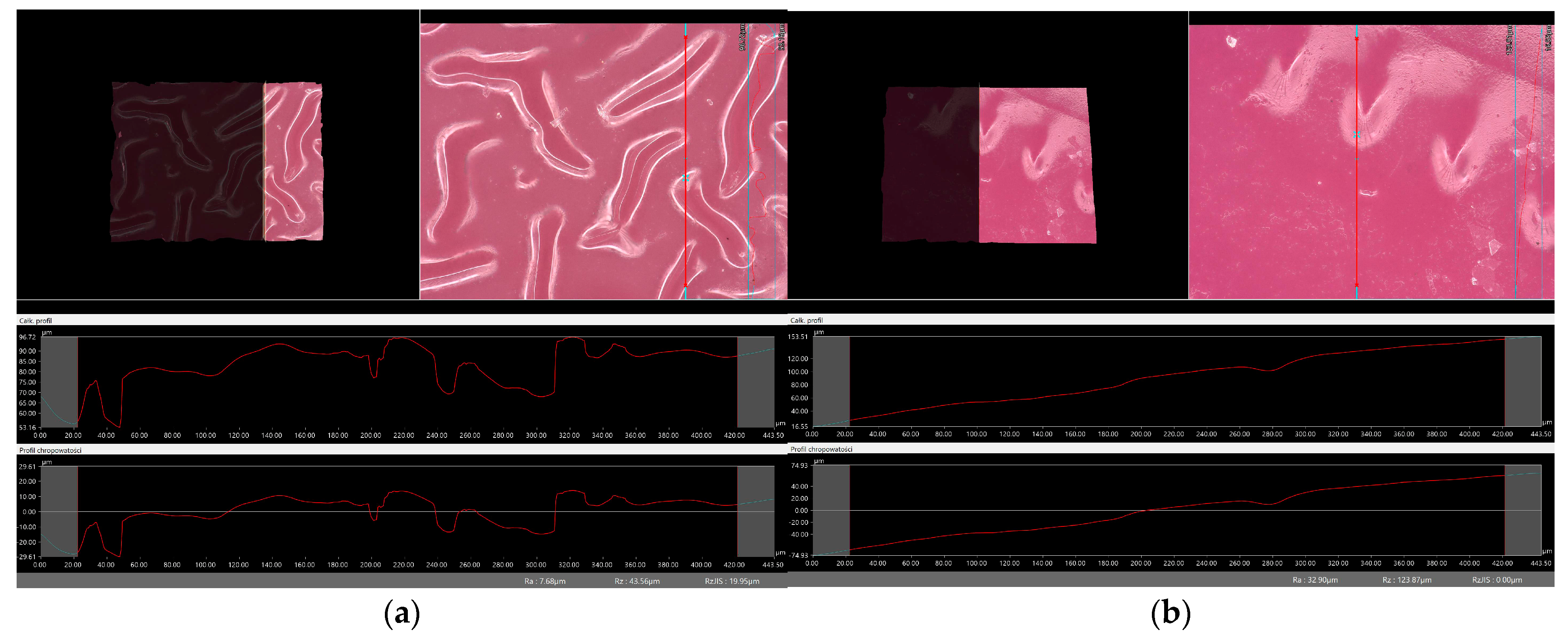Molecules 29 02633 g006a