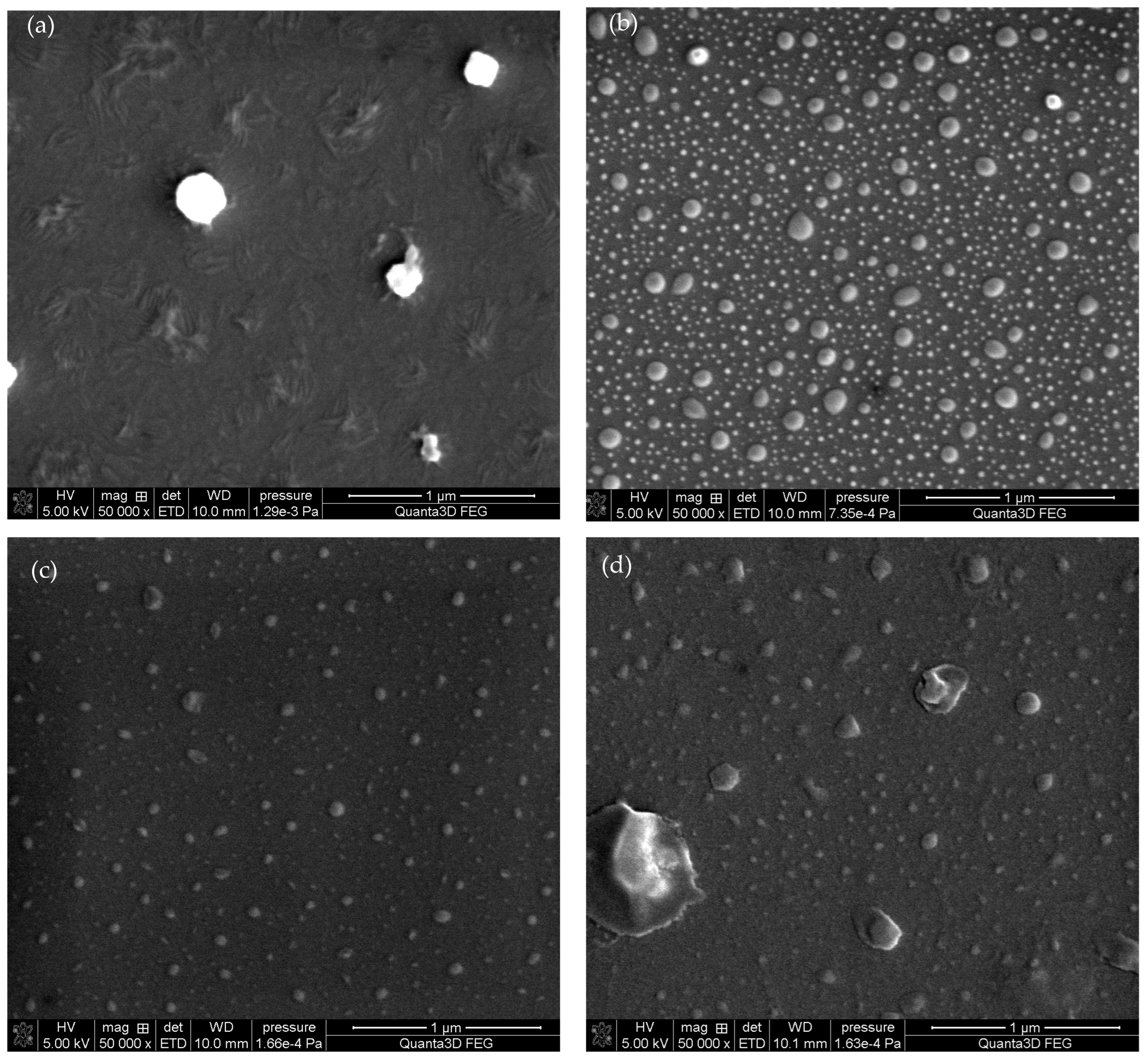Molecules 29 02645 g005
