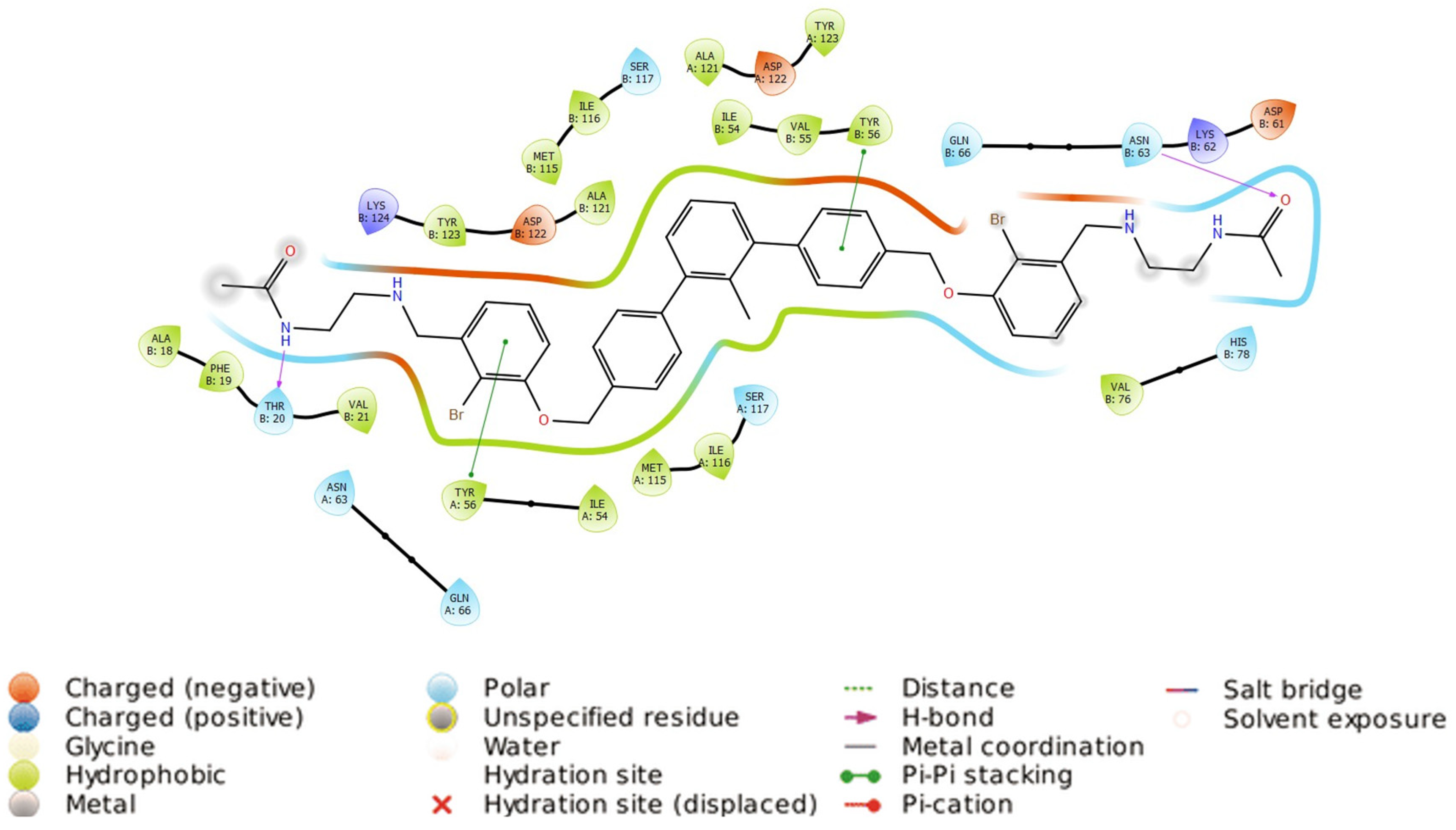 Molecules 29 02646 g007
