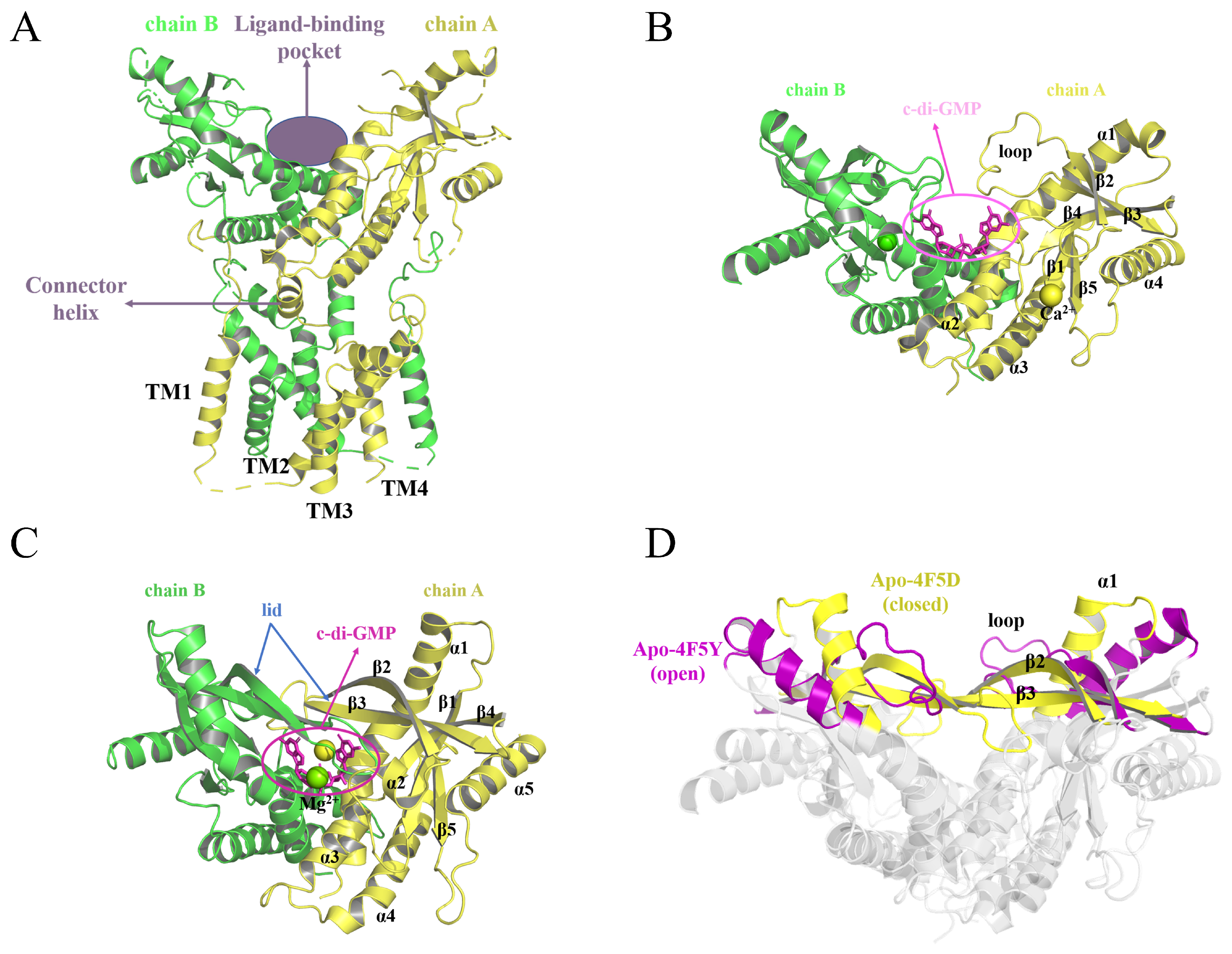 Molecules 29 02650 g001