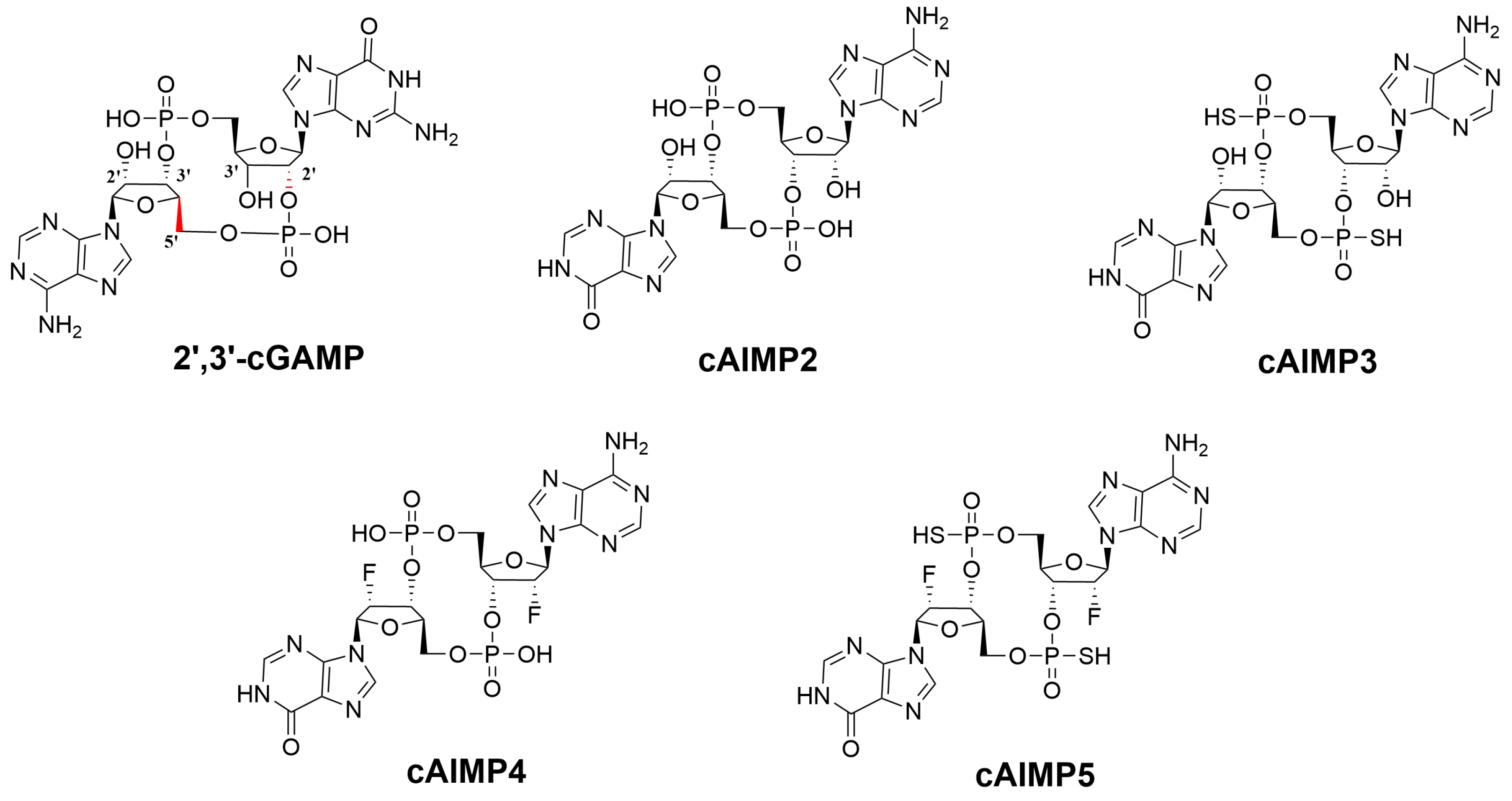 Molecules 29 02650 g002