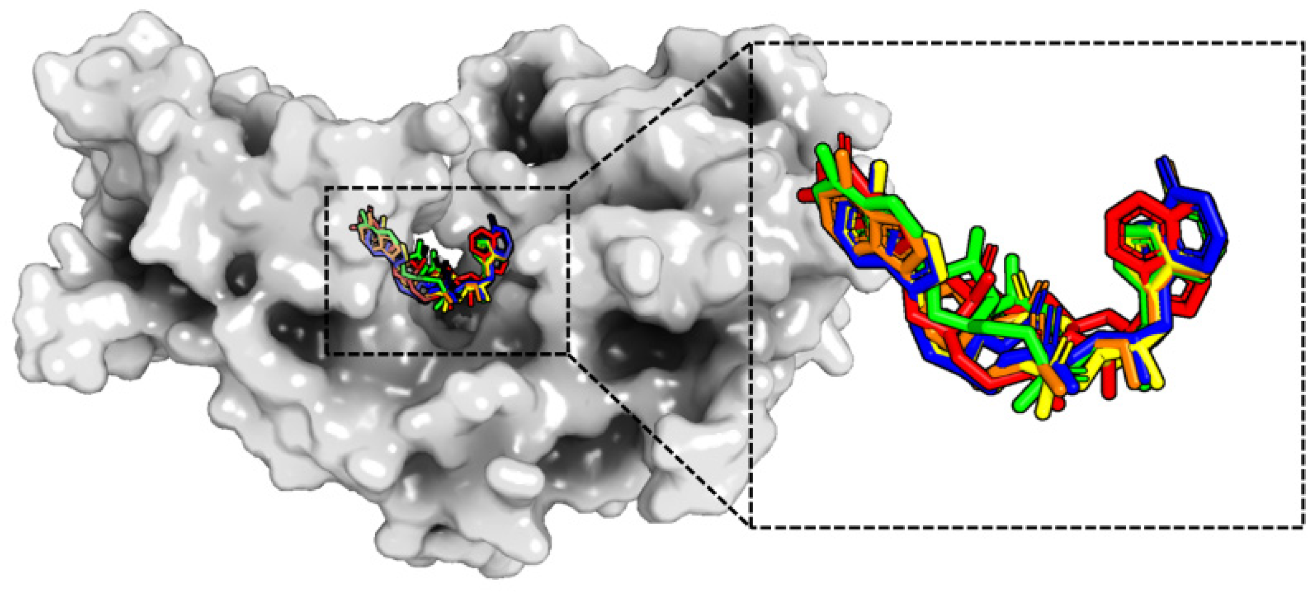 Molecules 29 02650 g003