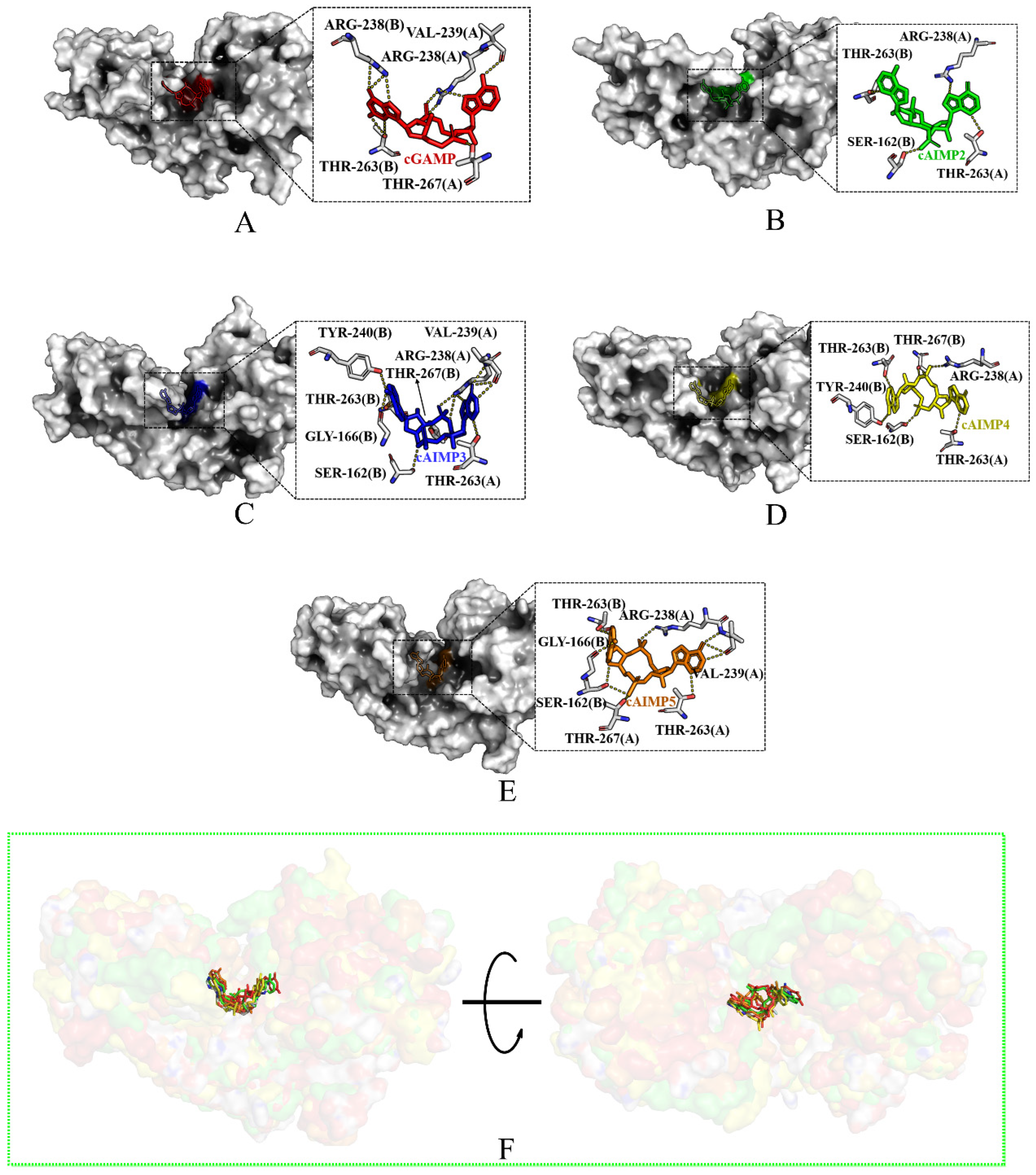 Molecules 29 02650 g005