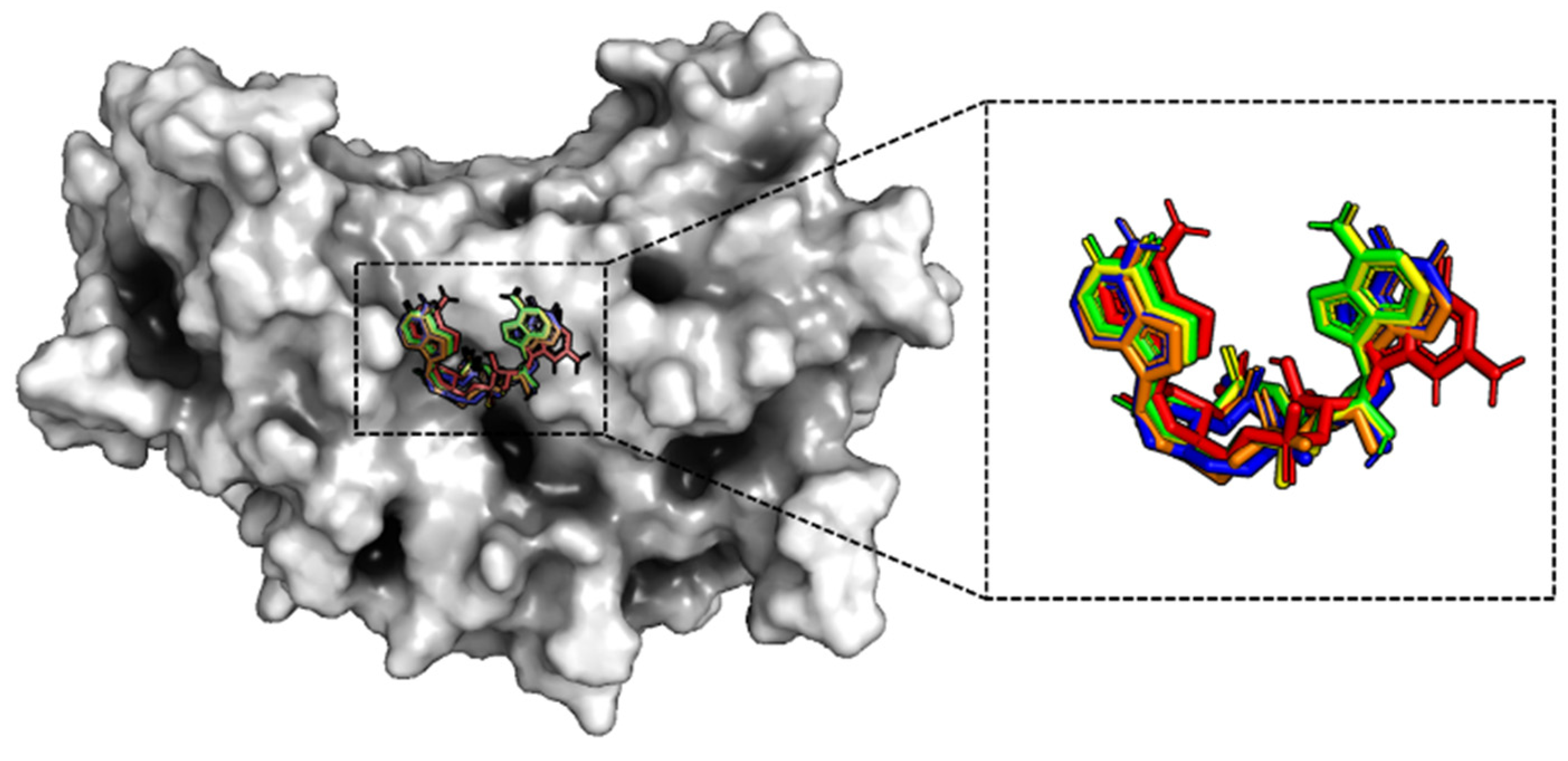 Molecules 29 02650 g006