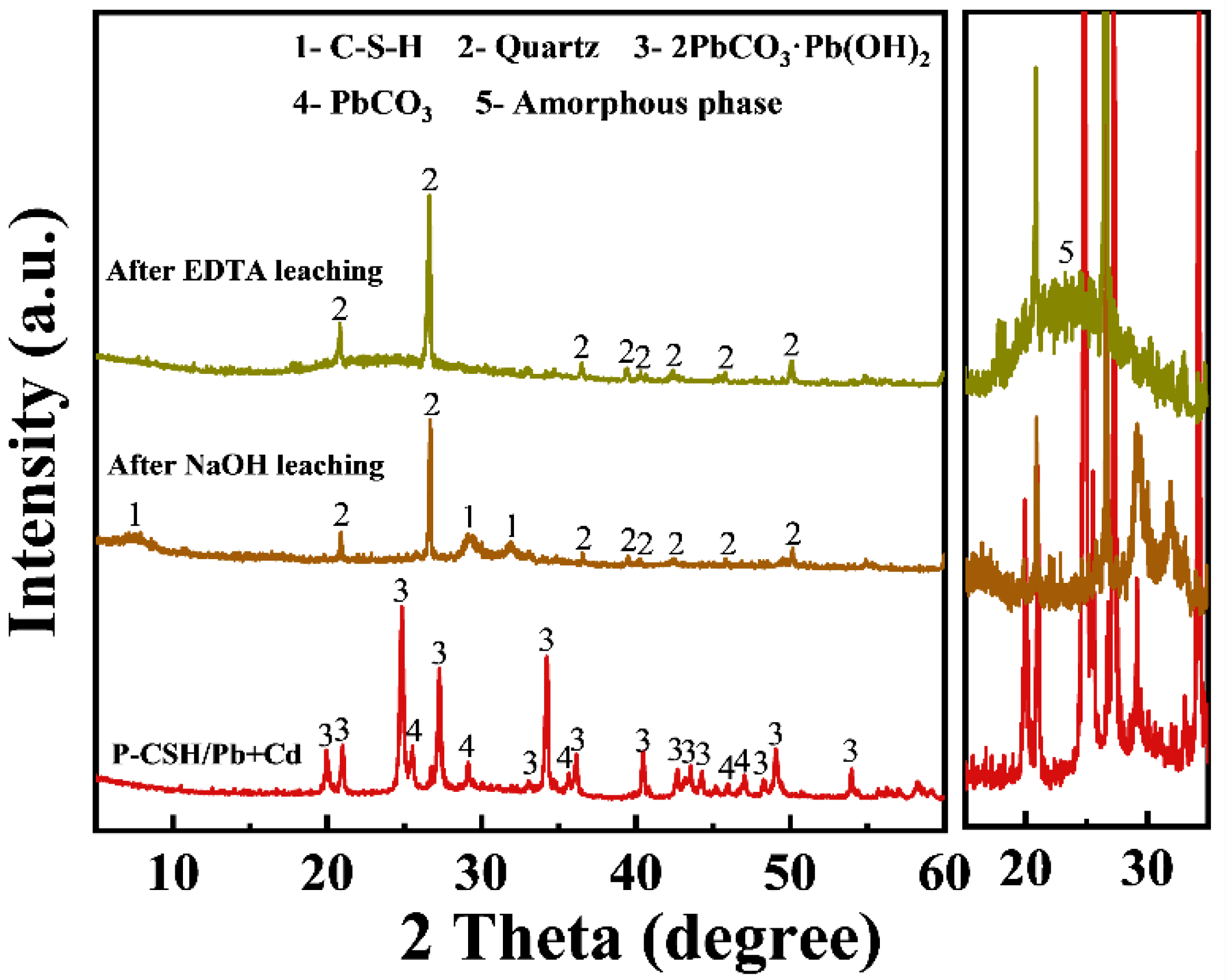 Molecules 29 02665 g013
