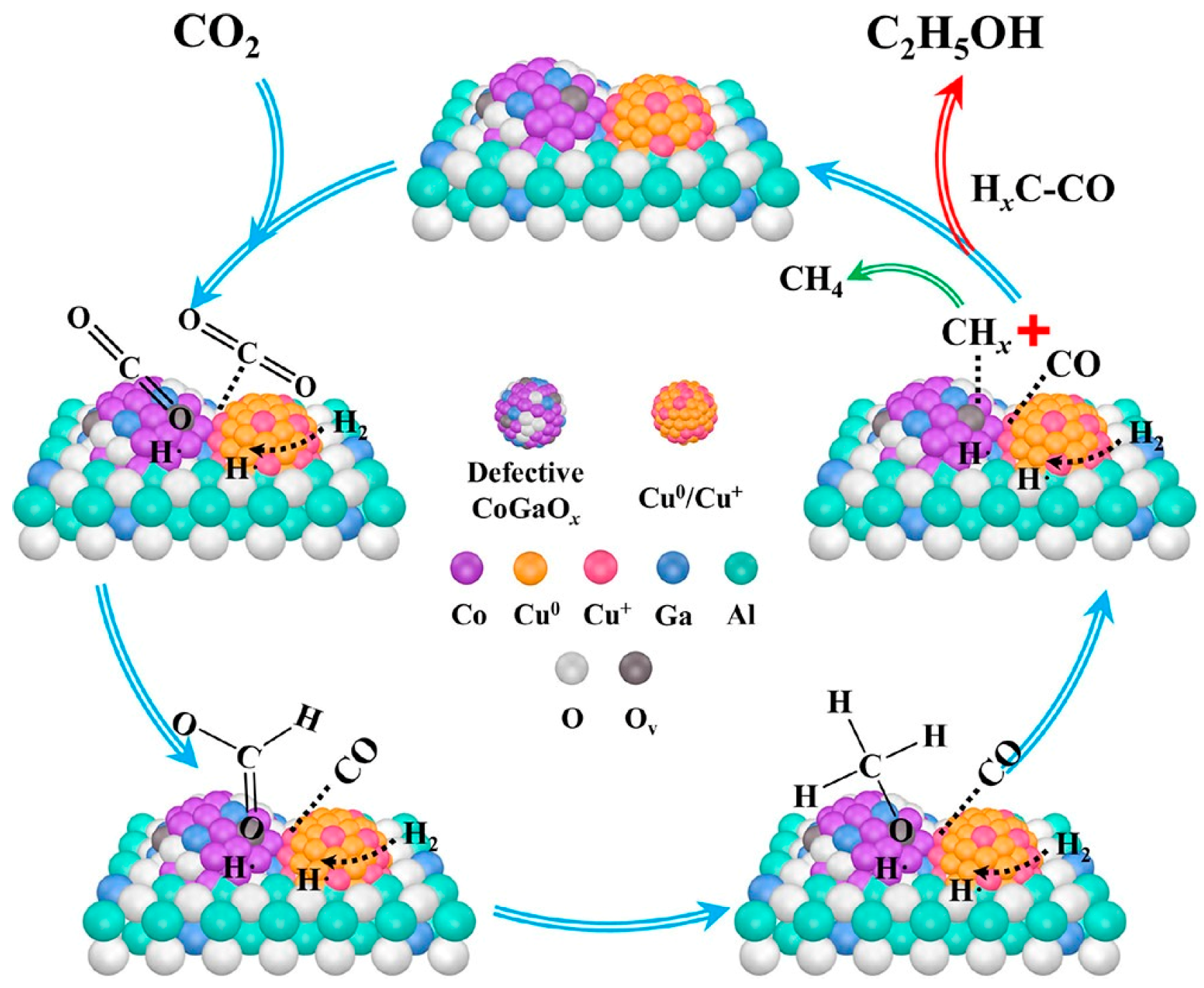 Molecules 29 02666 g001