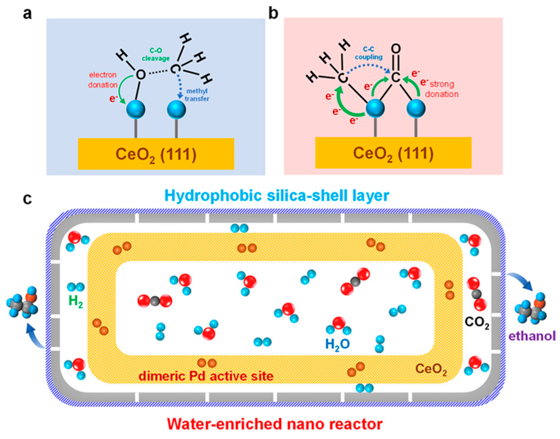 Molecules 29 02666 g015