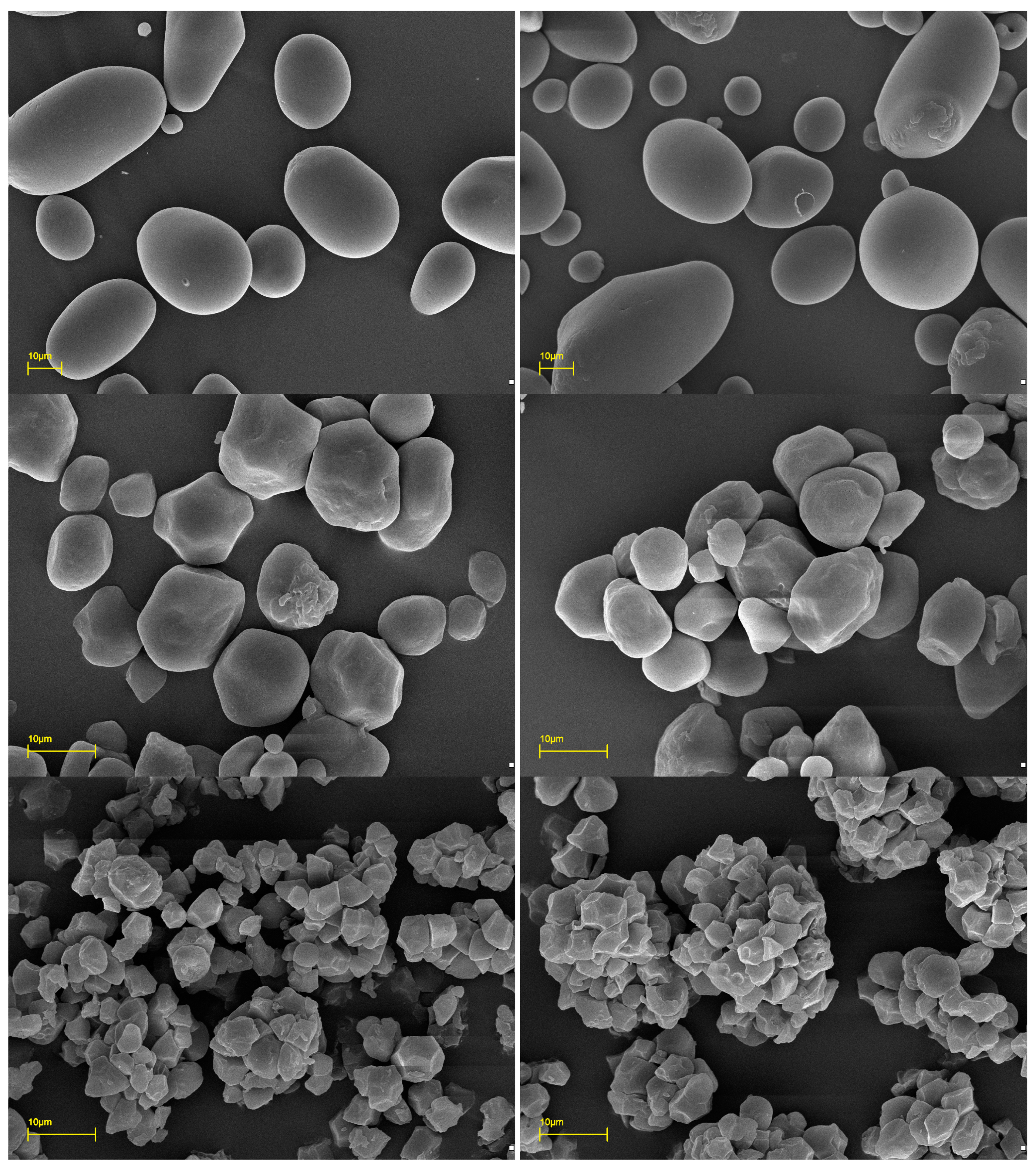 Molecules 29 02669 g001