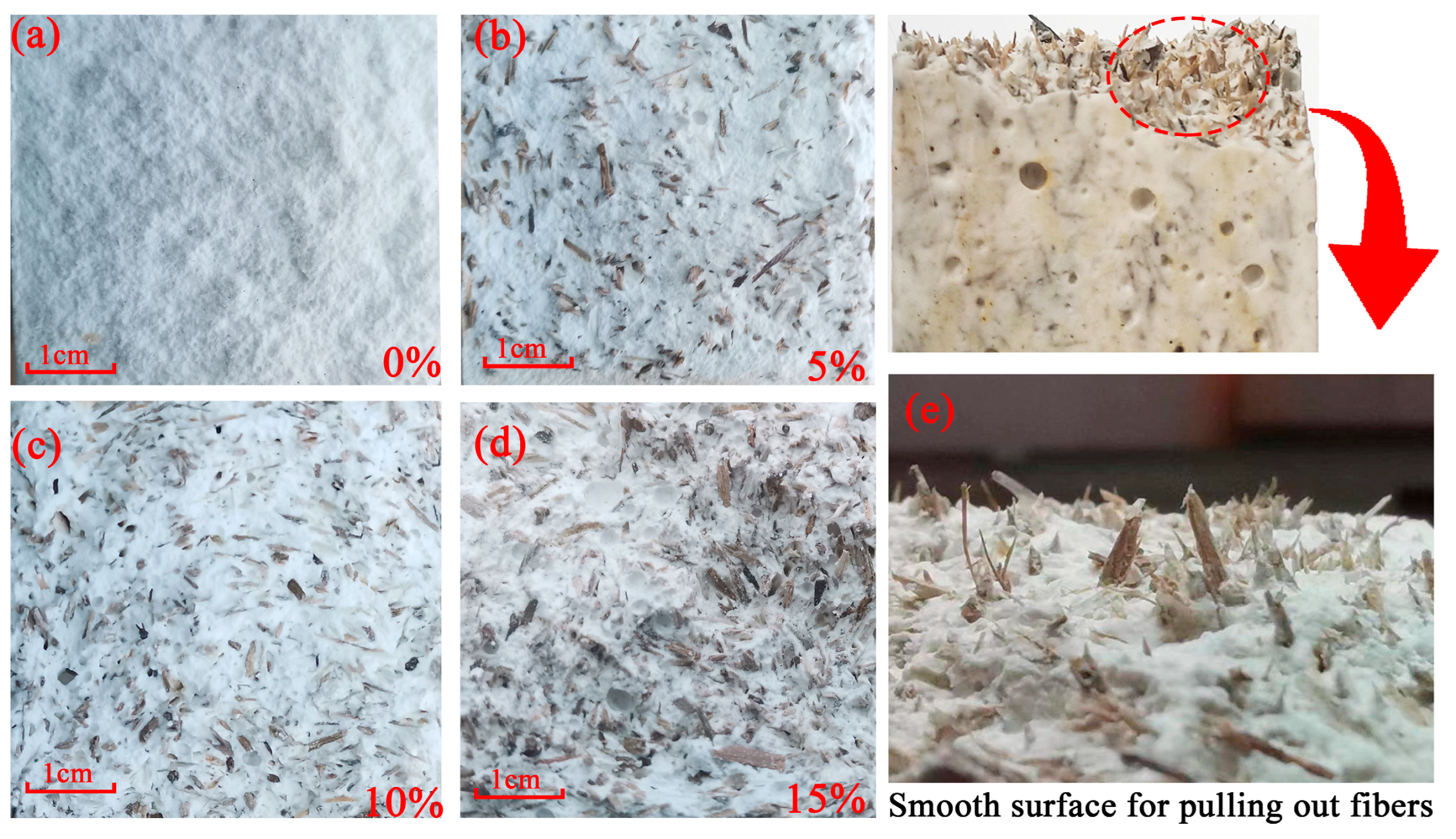 Molecules 29 02674 g003