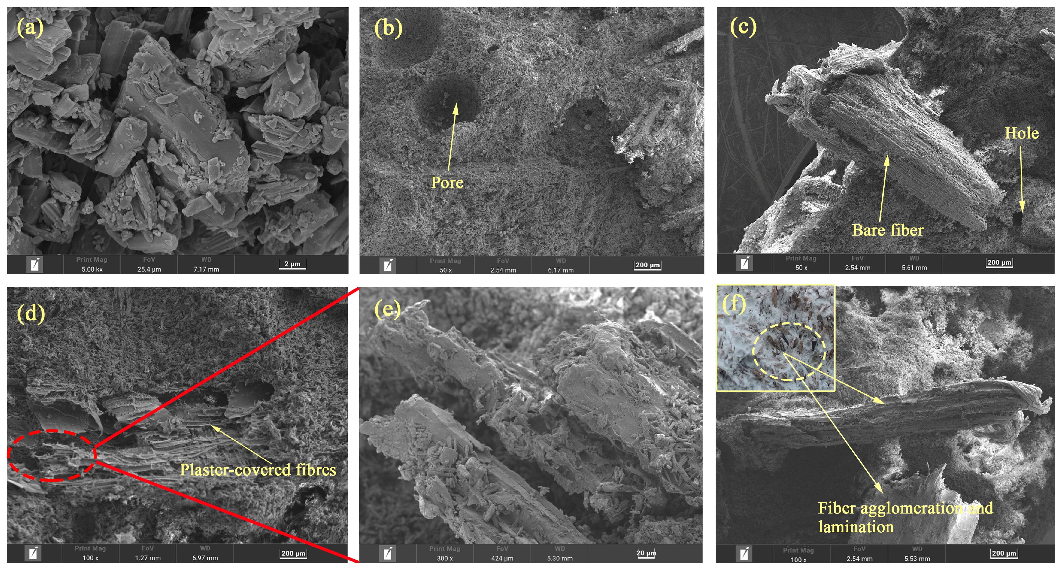 Molecules 29 02674 g008