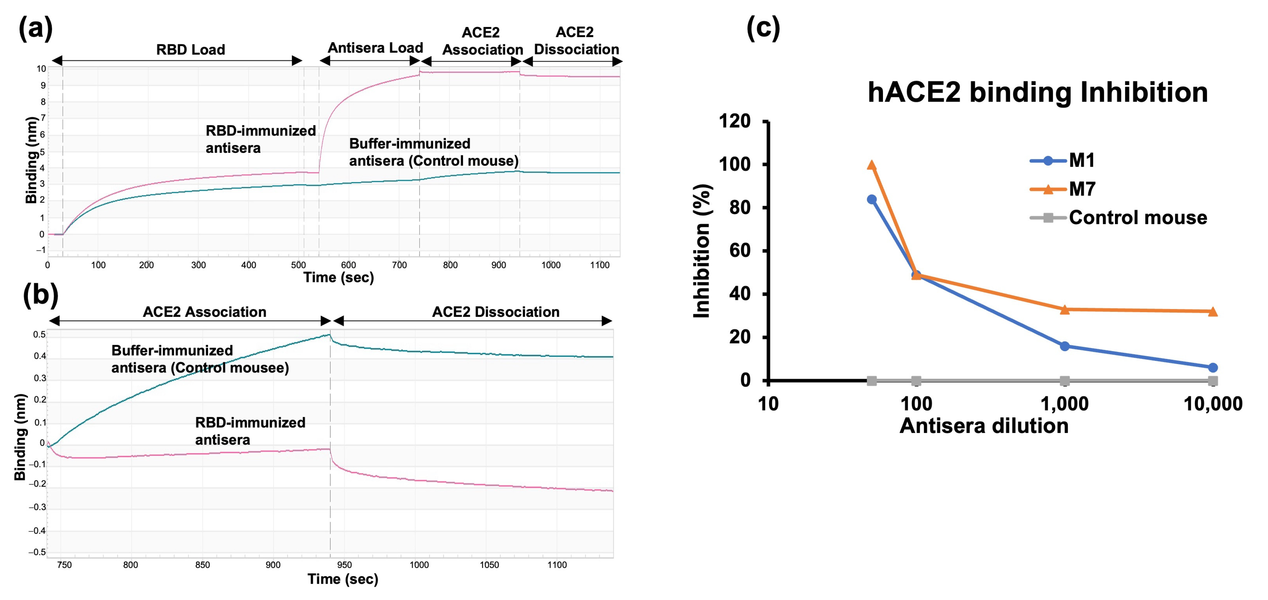 Molecules 29 02676 g004
