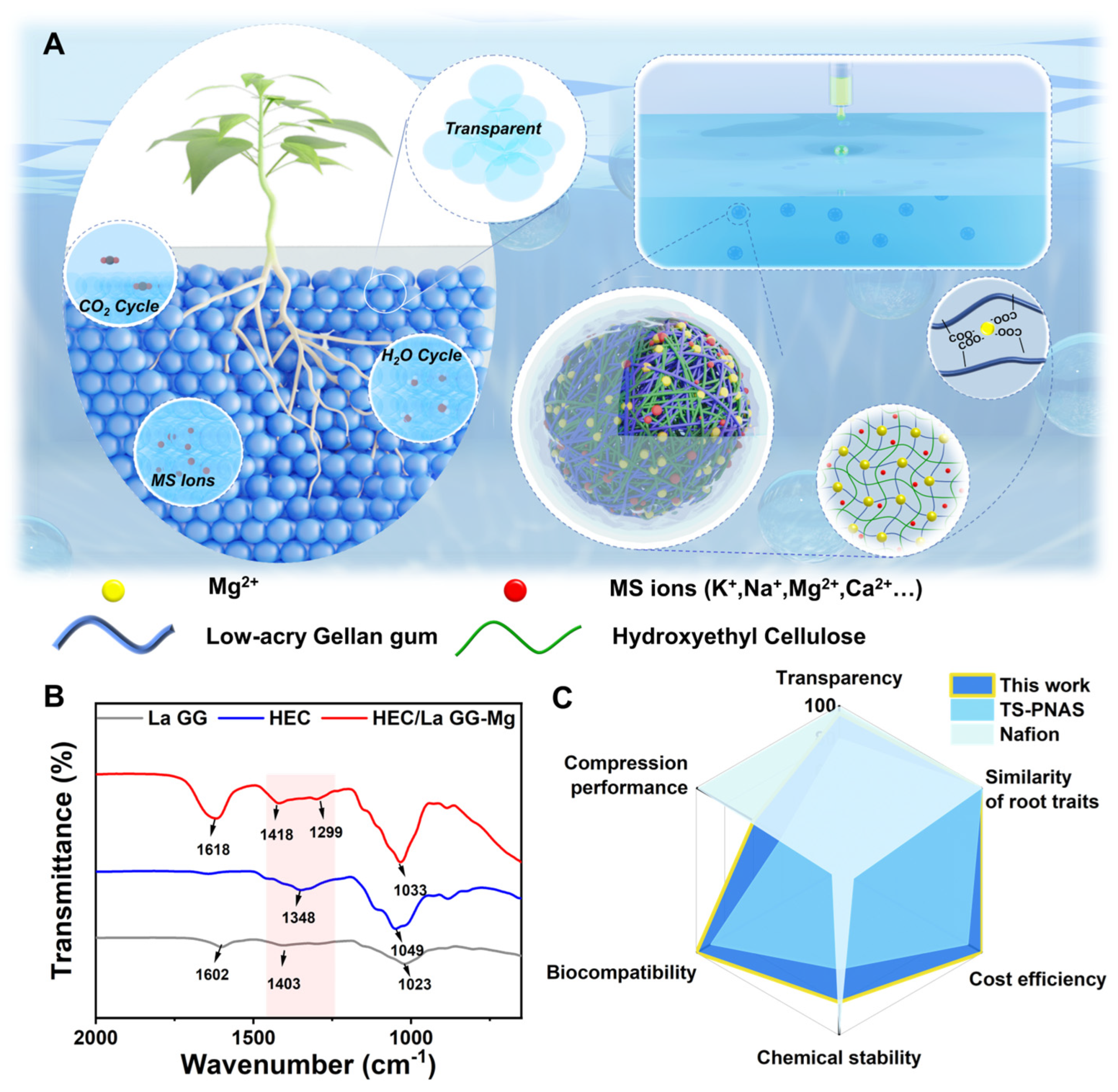 Molecules 29 02677 g001