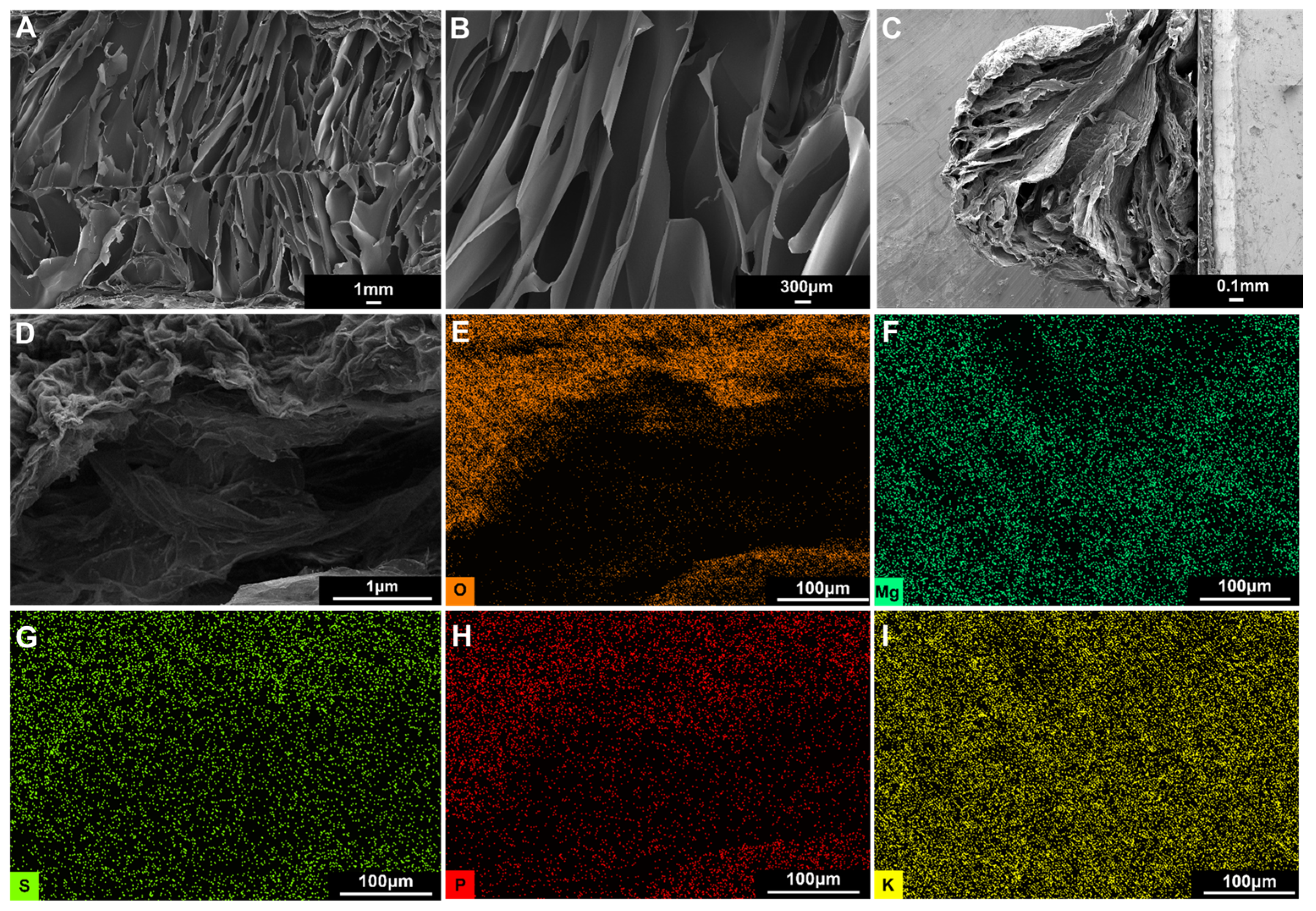Molecules 29 02677 g003