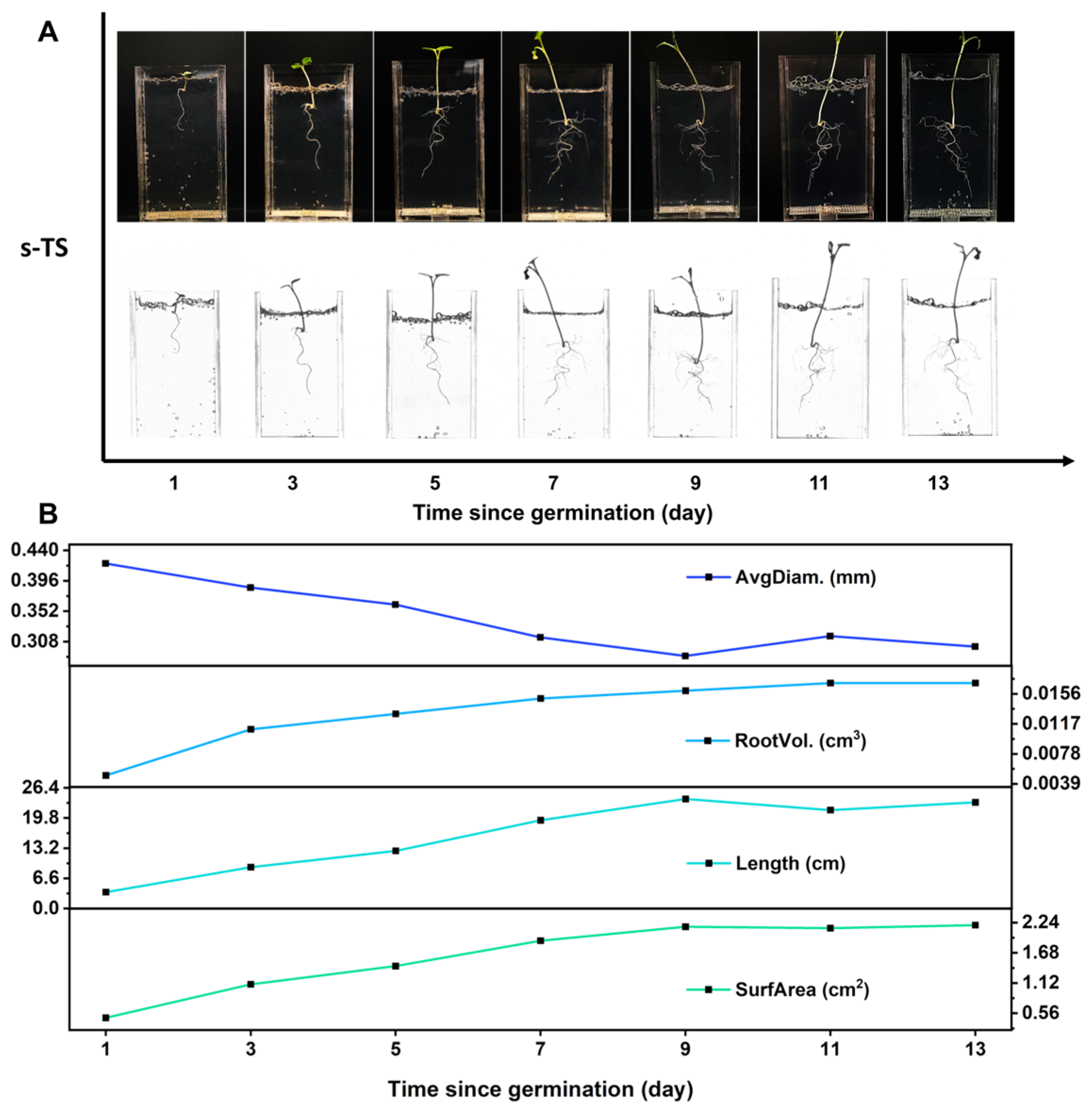 Molecules 29 02677 g005