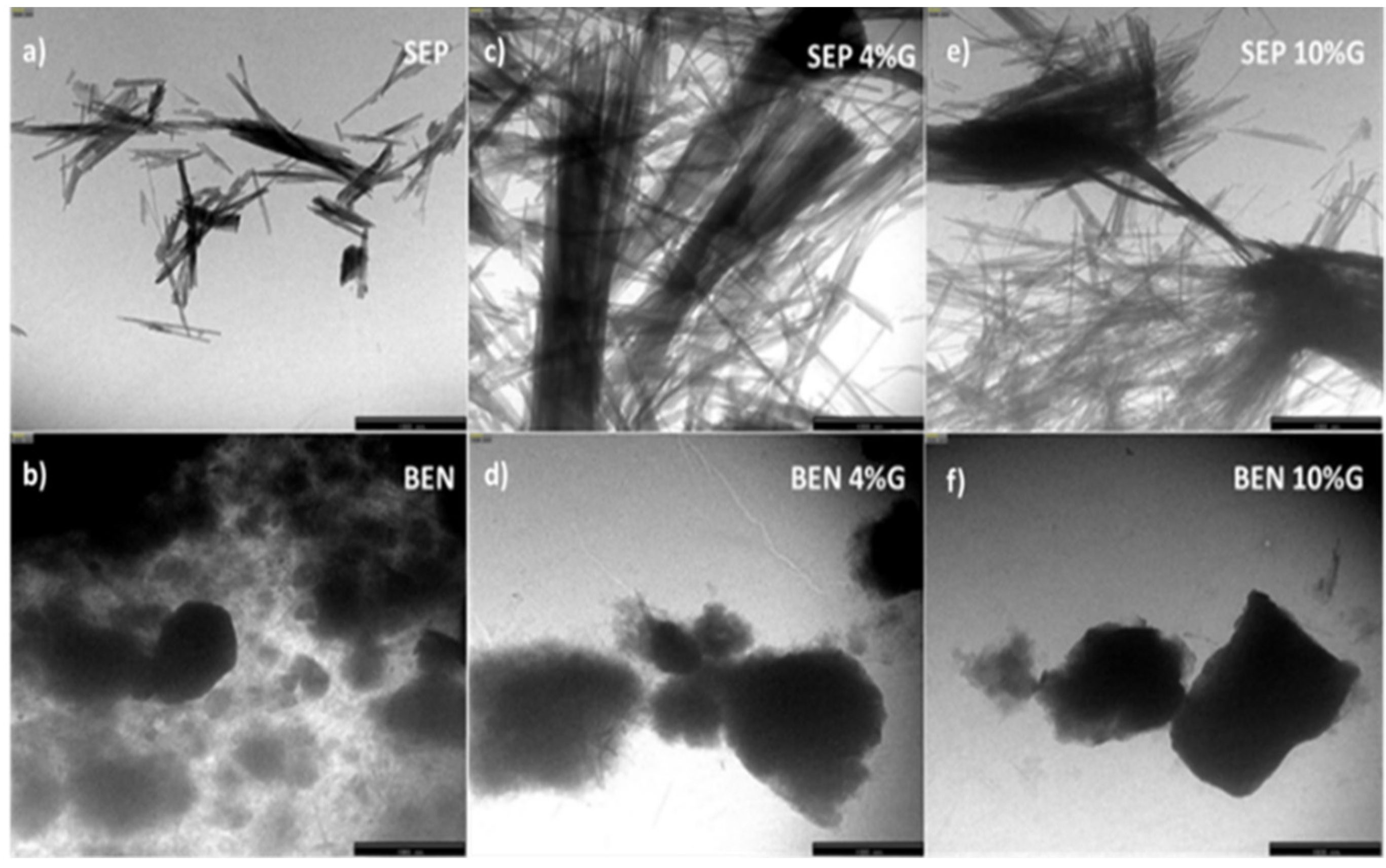 Molecules 29 02699 g001