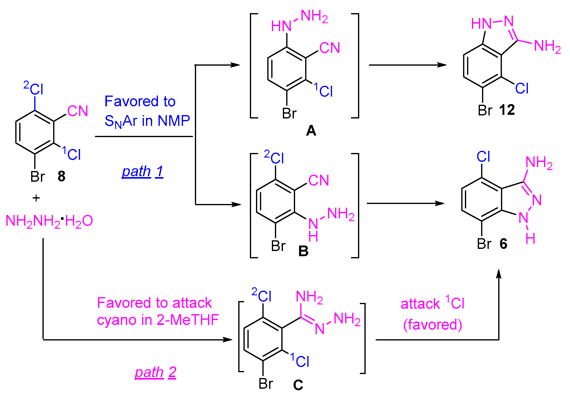 Molecules 29 02705 sch003