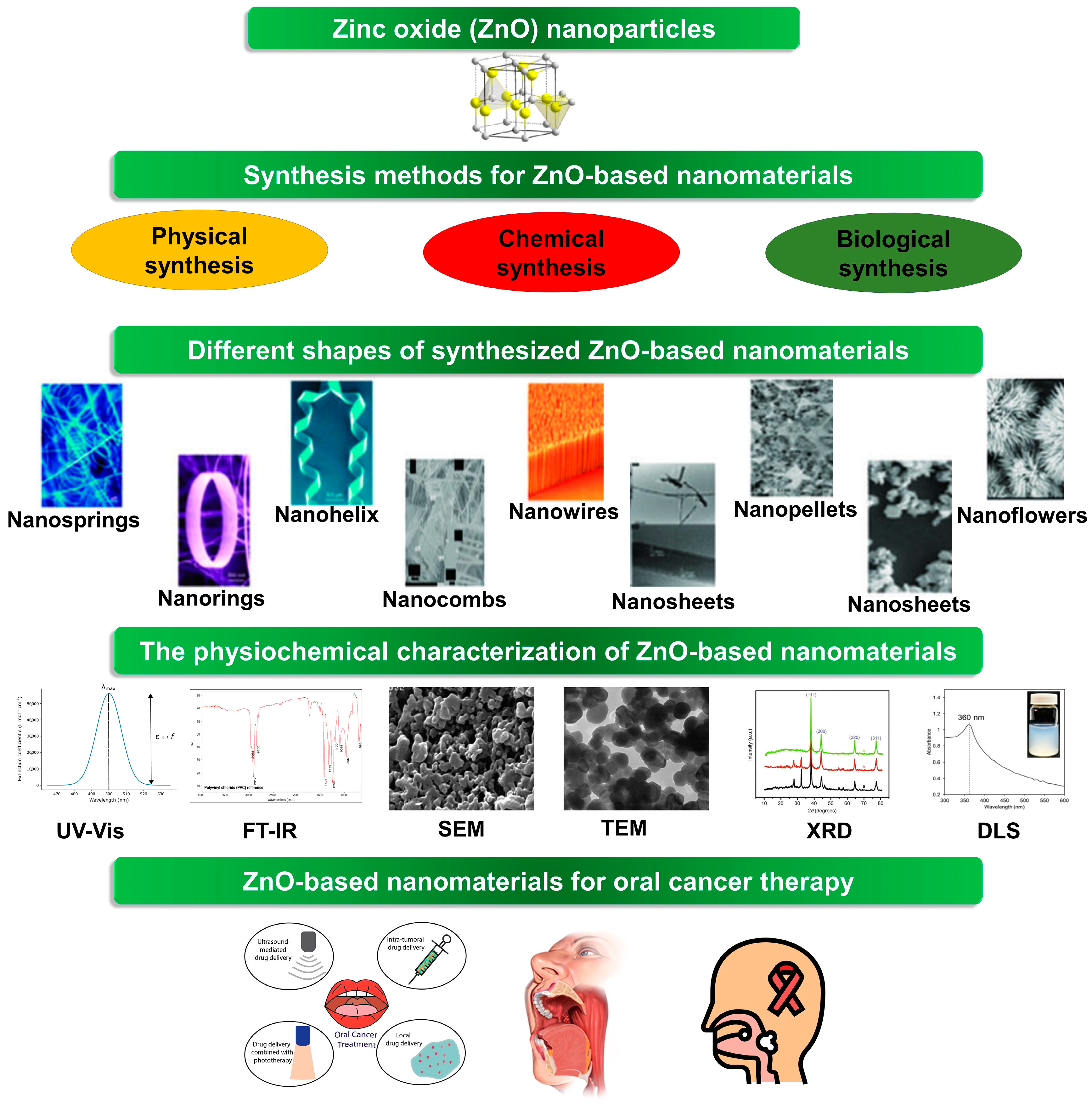 Molecules 29 02706 g001