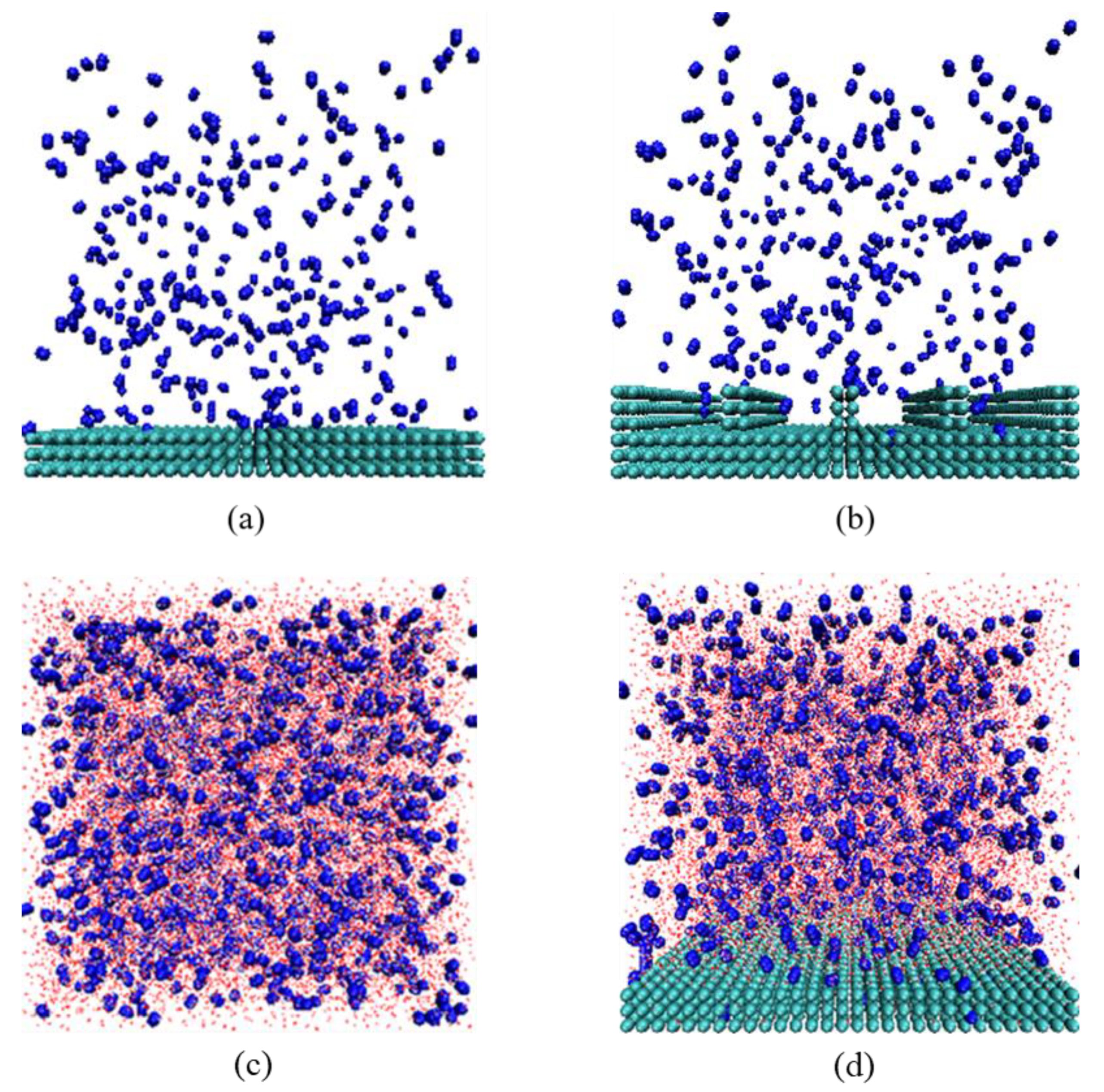 Molecules 29 02711 g007