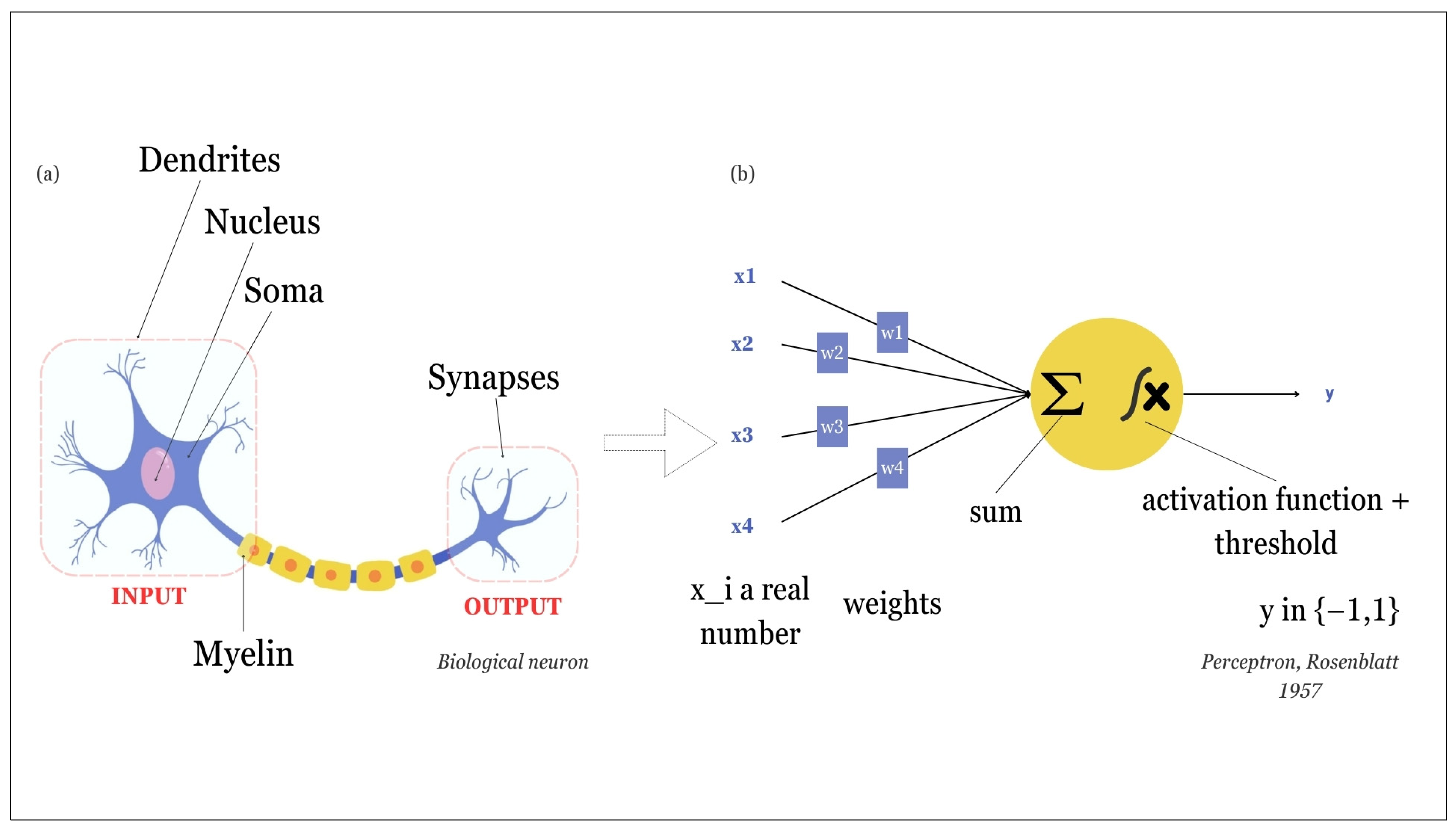 Molecules 29 02716 g002