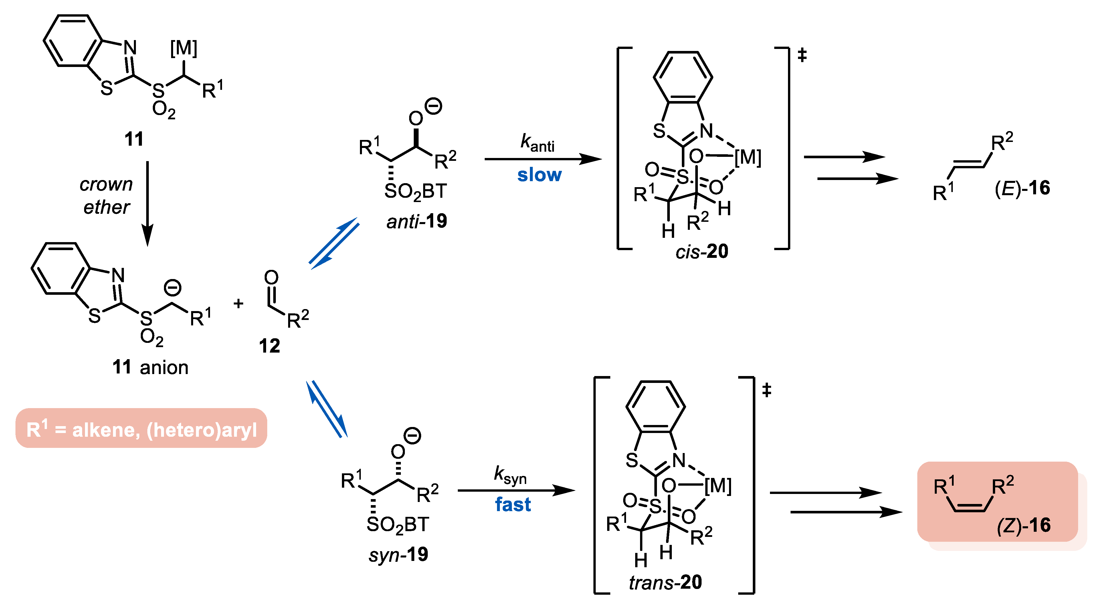 Molecules 29 02719 sch008
