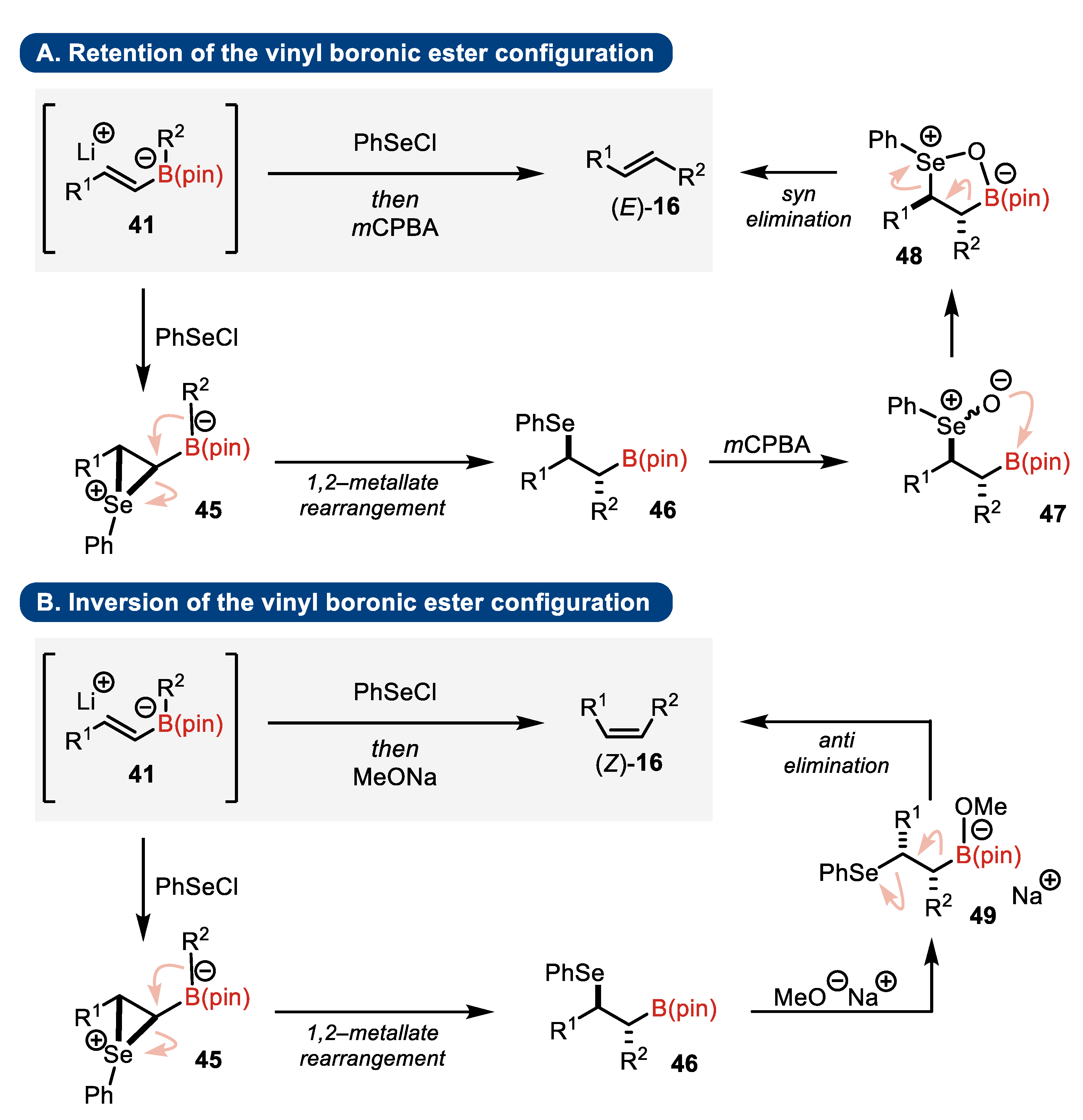 Molecules 29 02719 sch014