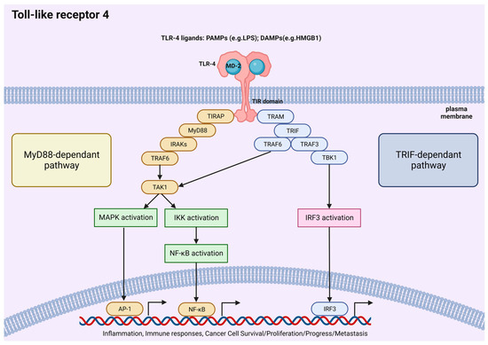 62 Research advances in natural sesquiterpene lactones