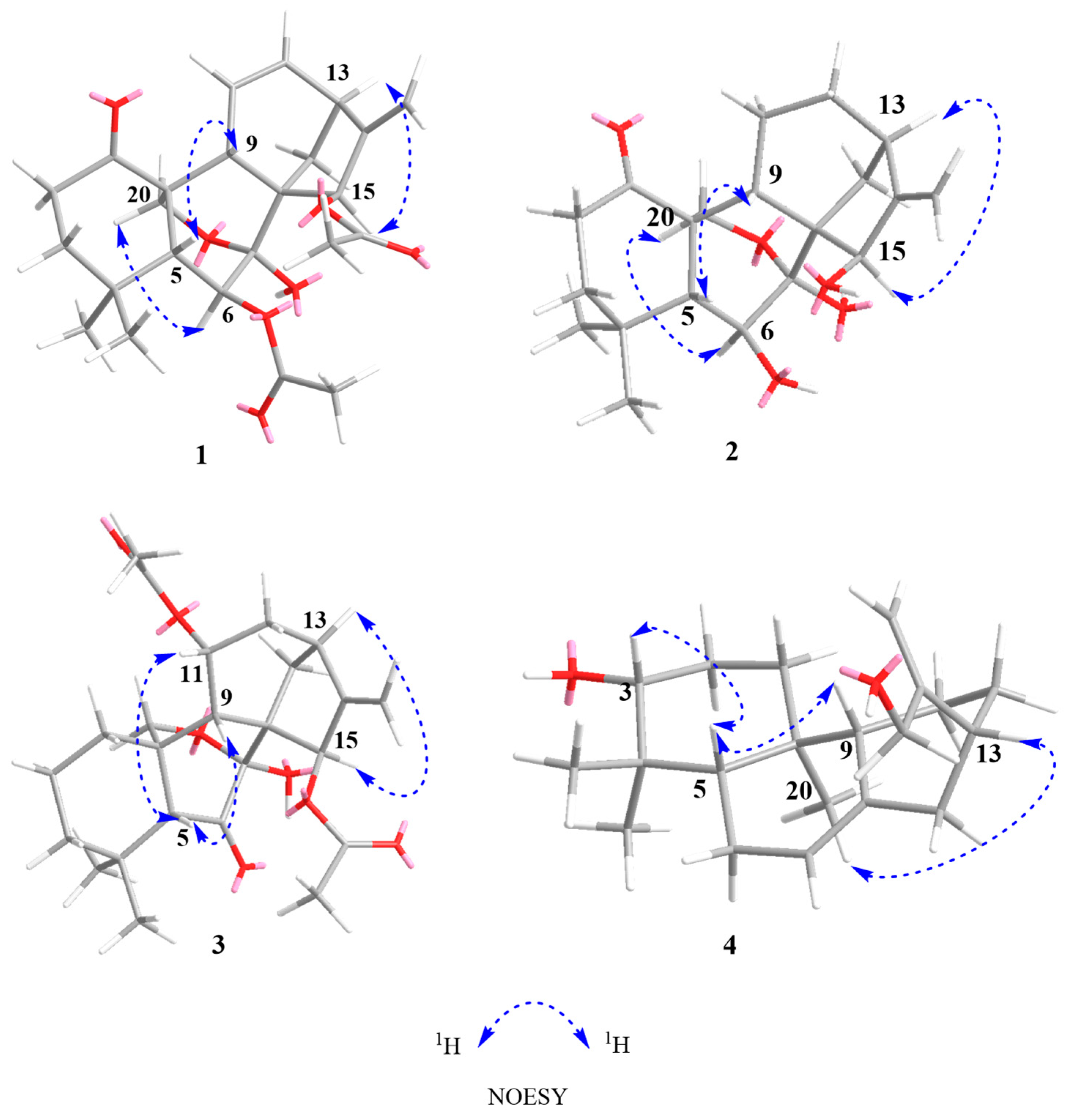 Molecules 29 02733 g003 Molecules 29 02733 g003