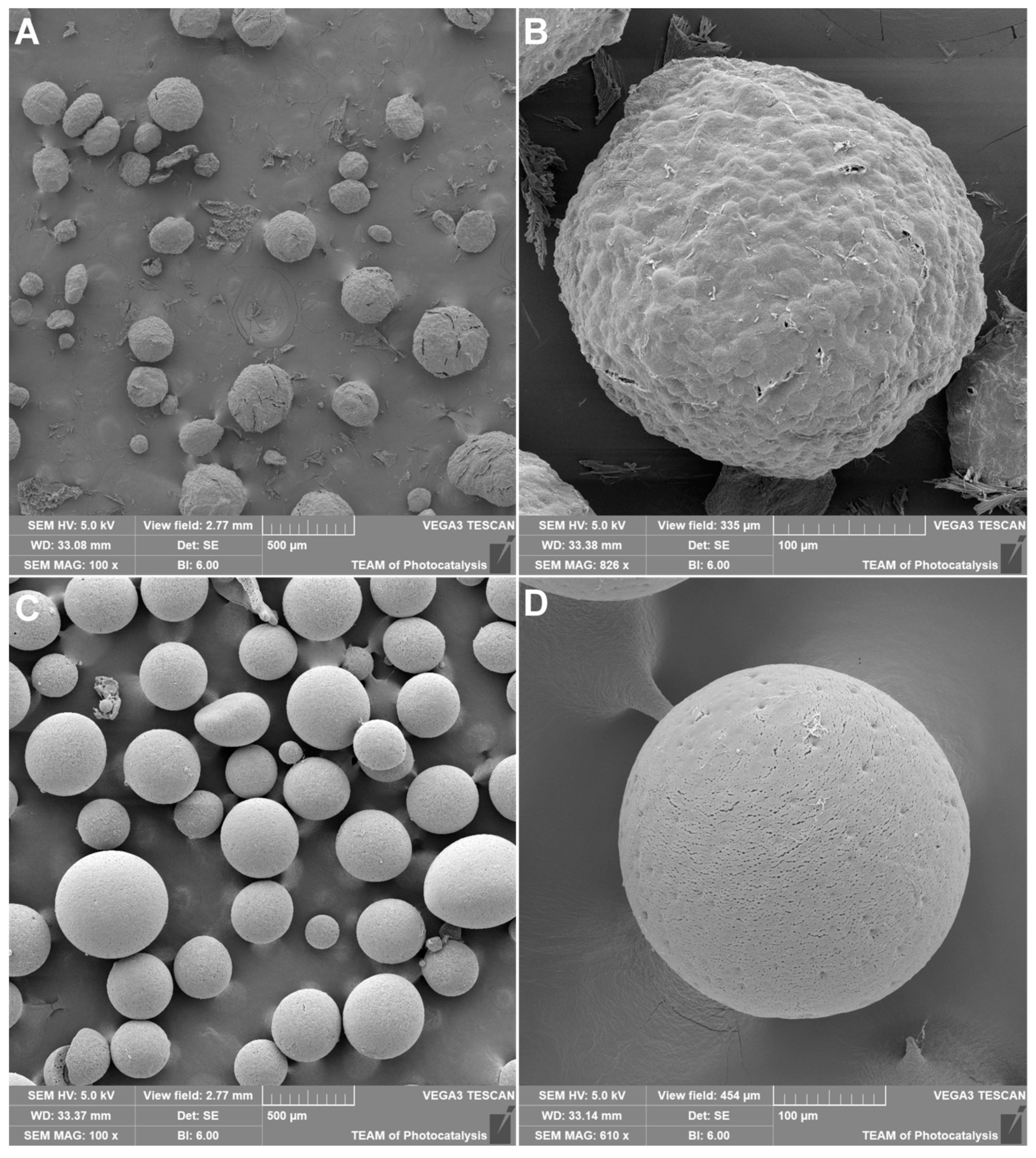 Molecules 29 02735 g003