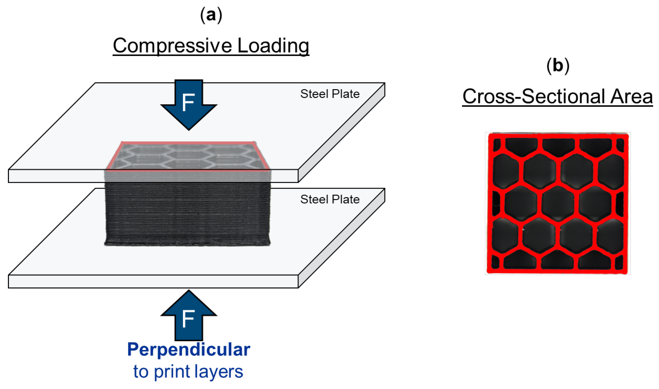 Molecules 29 02736 g014