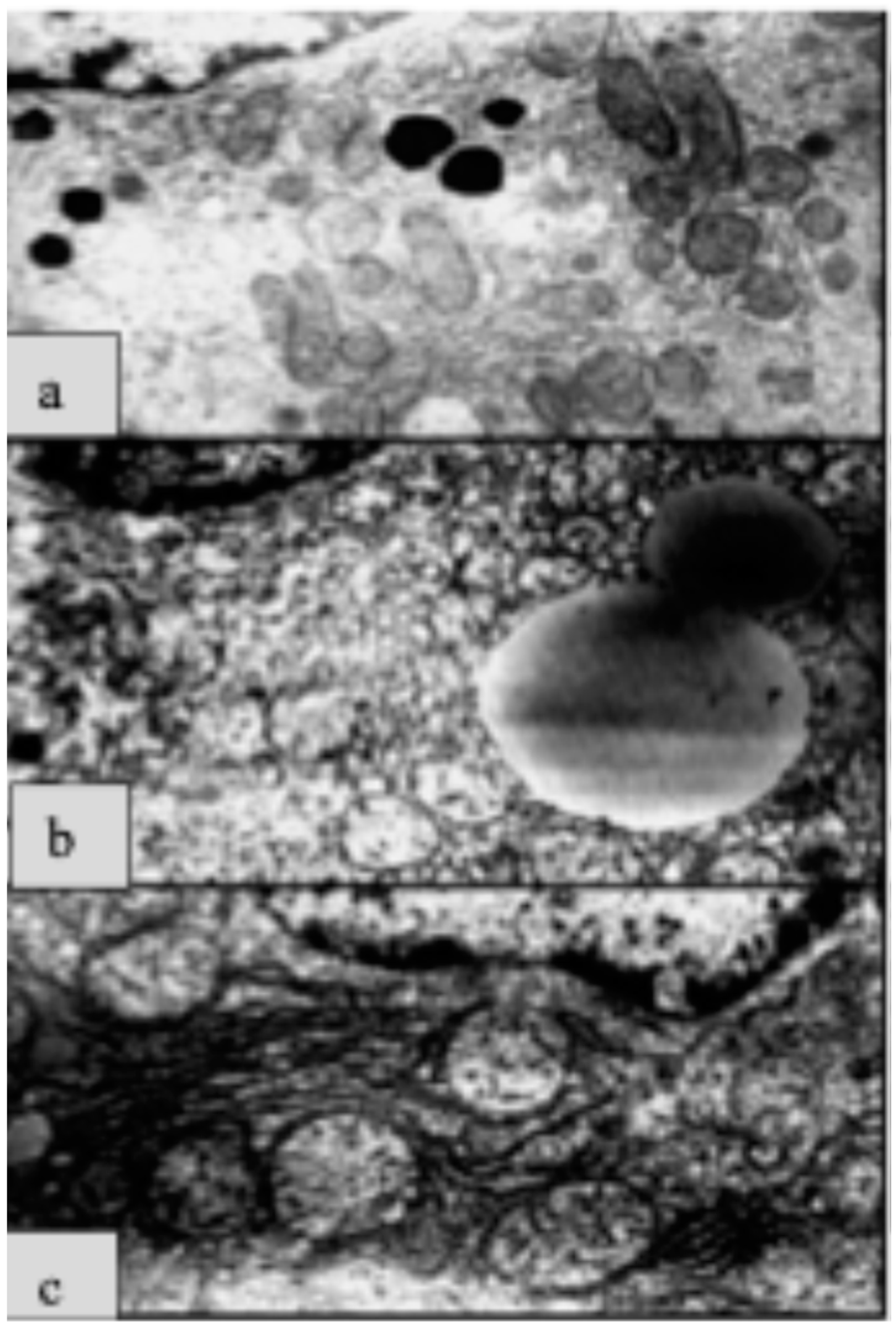 Molecules 29 02738 g009