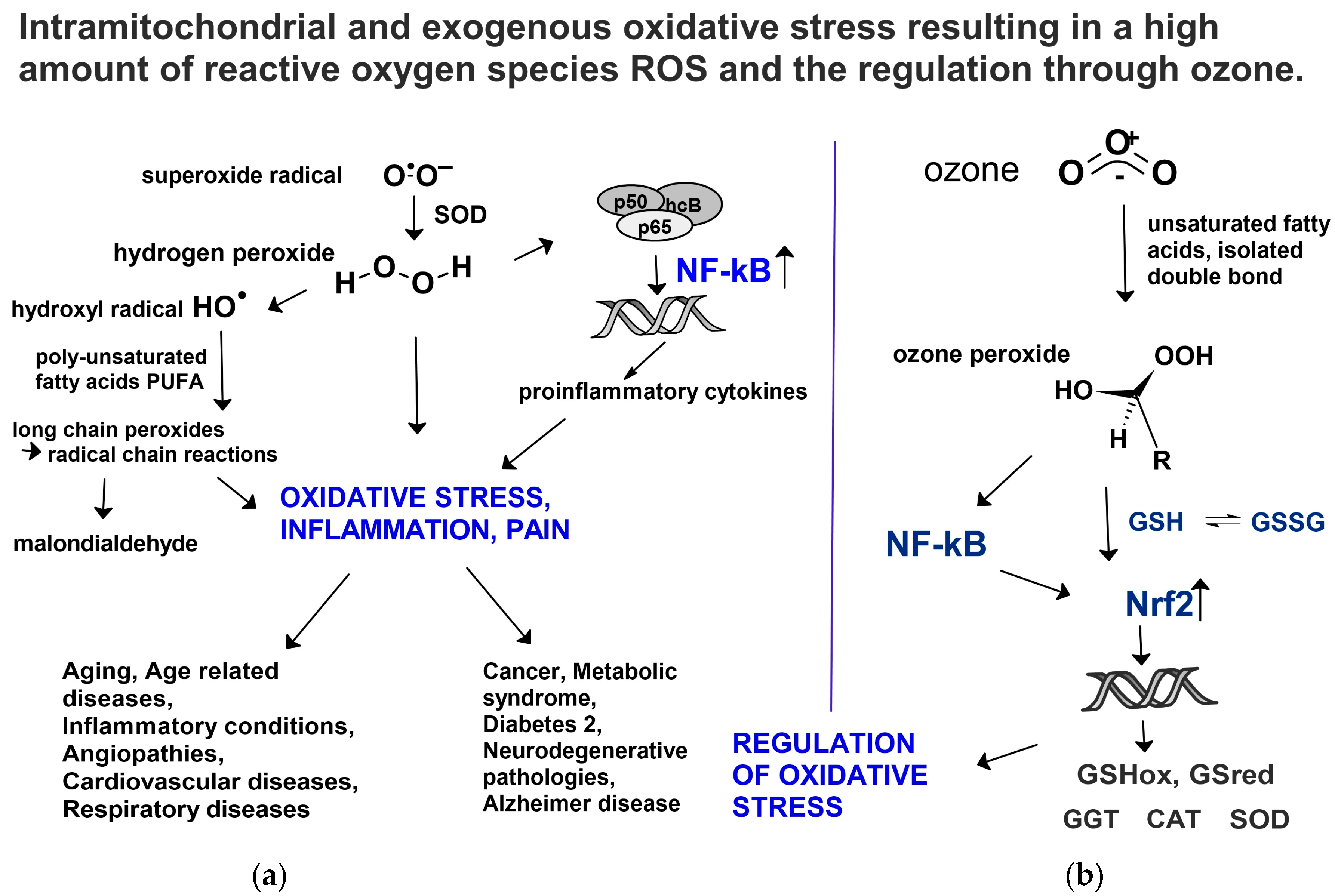 Molecules 29 02738 g010